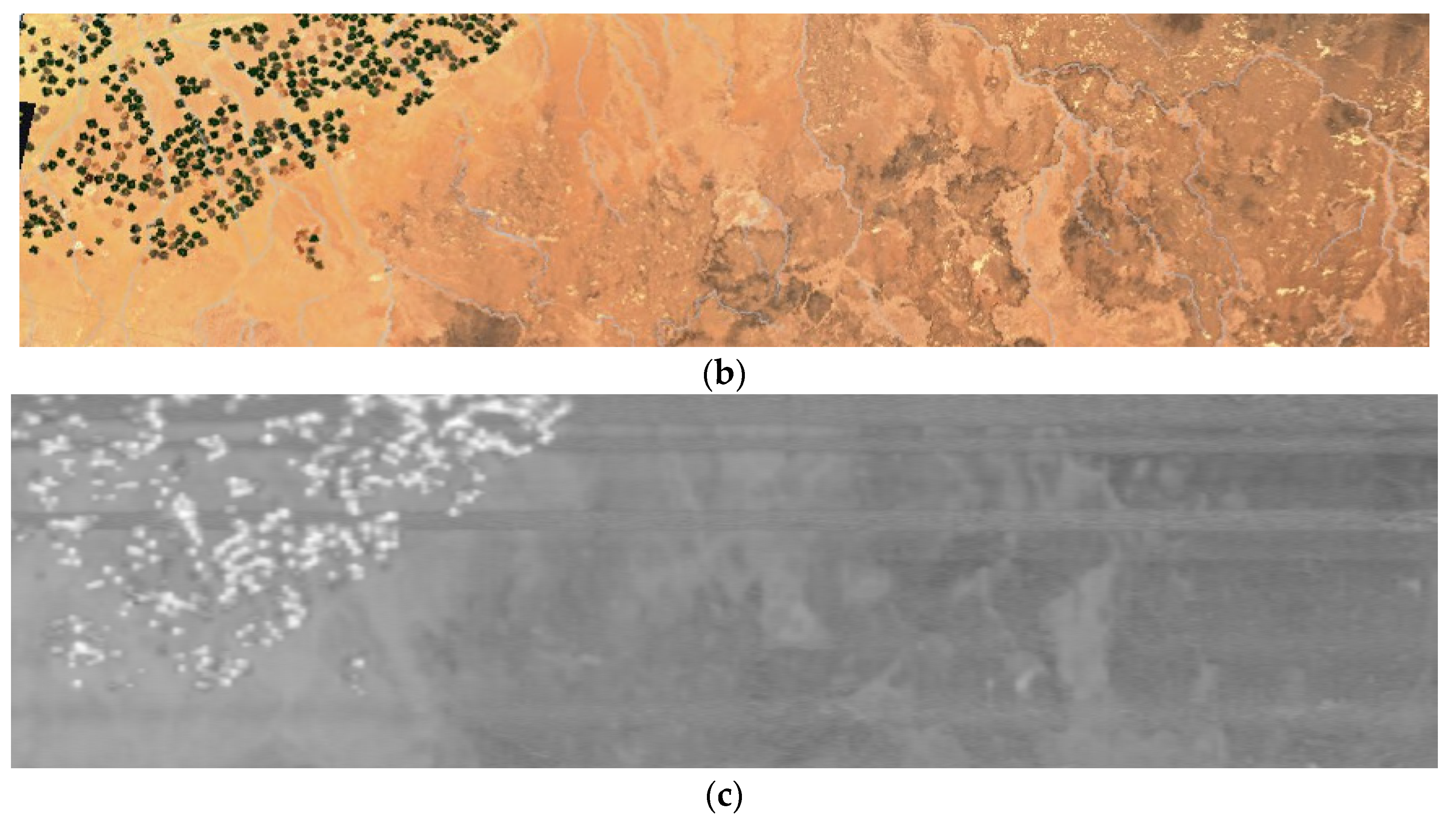 Sensors 24 02885 g019b