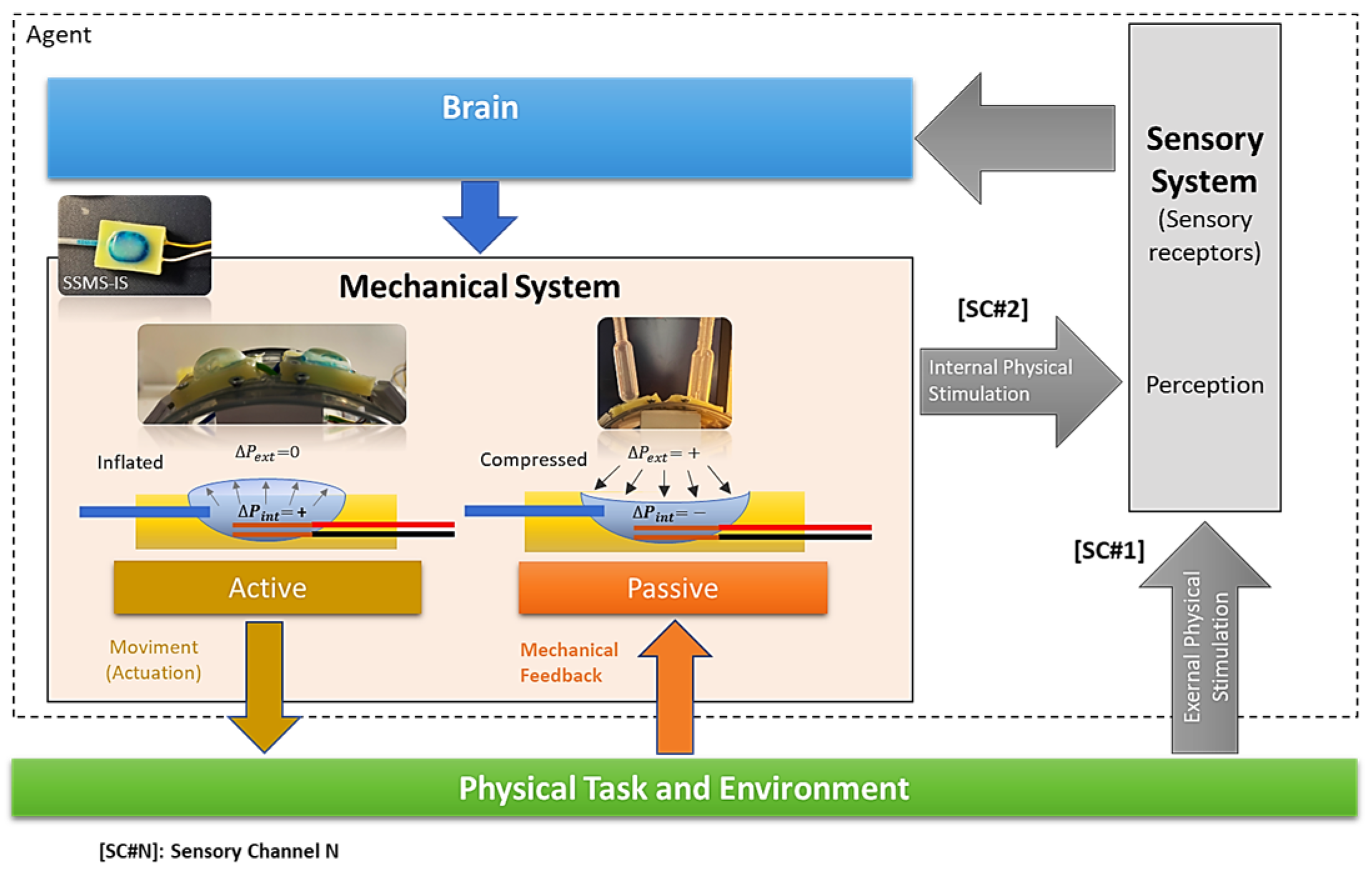 Sensors 24 02900 g001