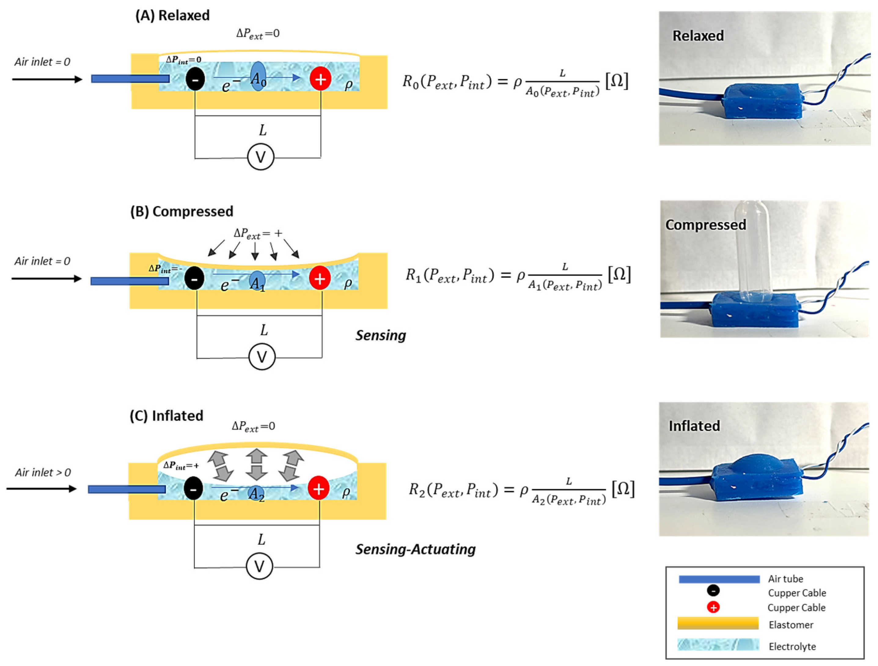 Sensors 24 02900 g002