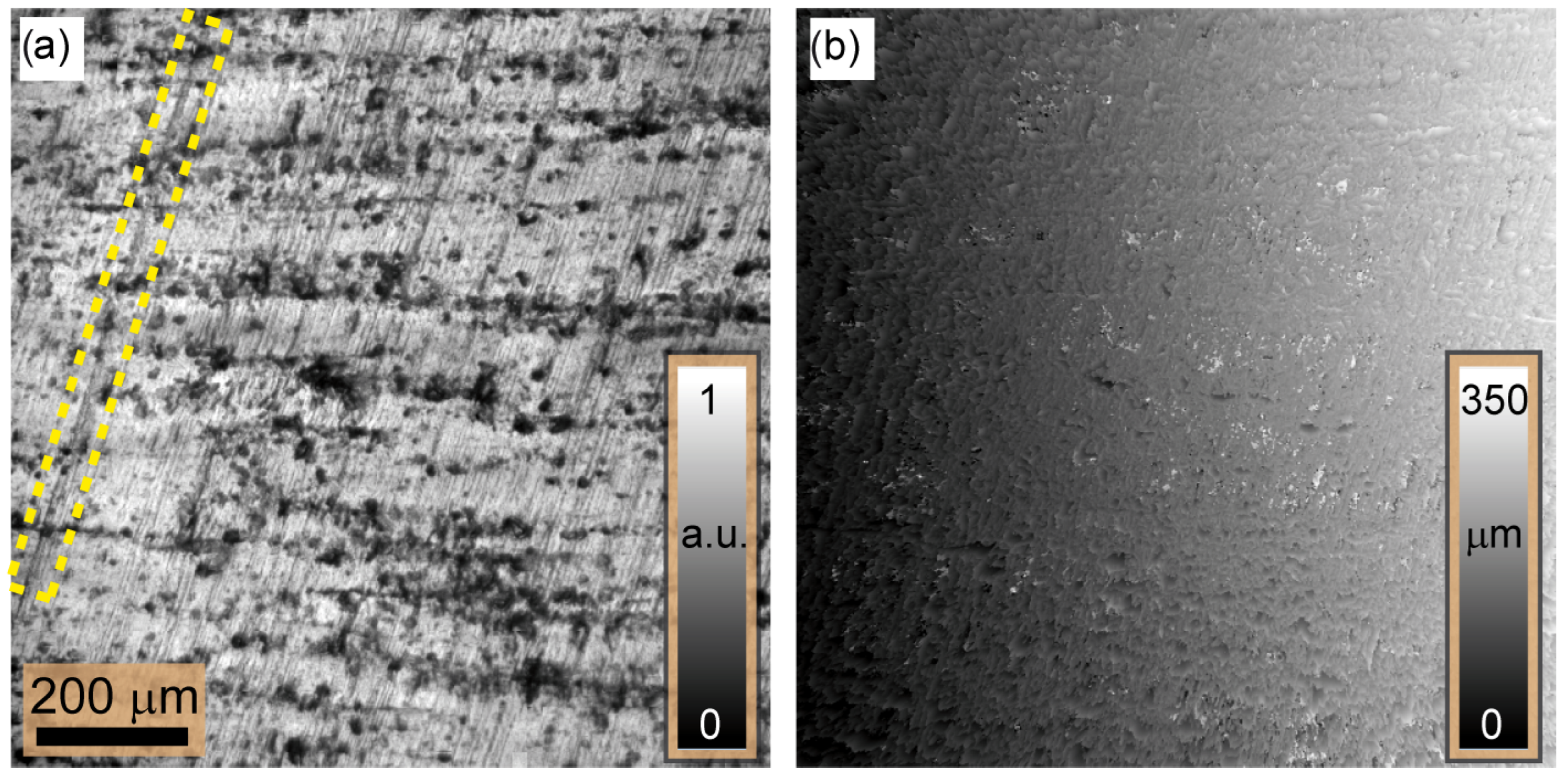 Sensors 24 03072 g006
