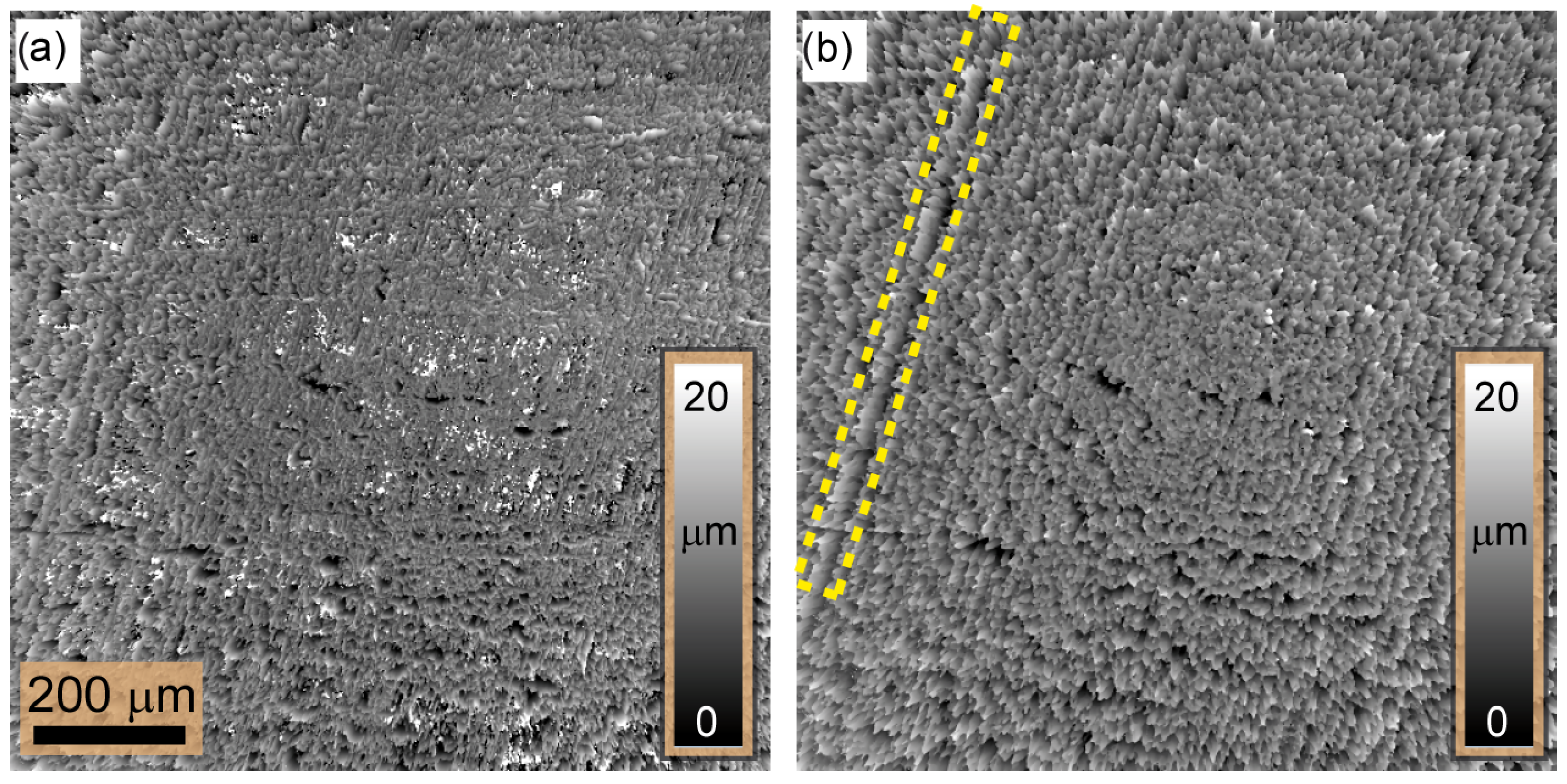 Sensors 24 03072 g007