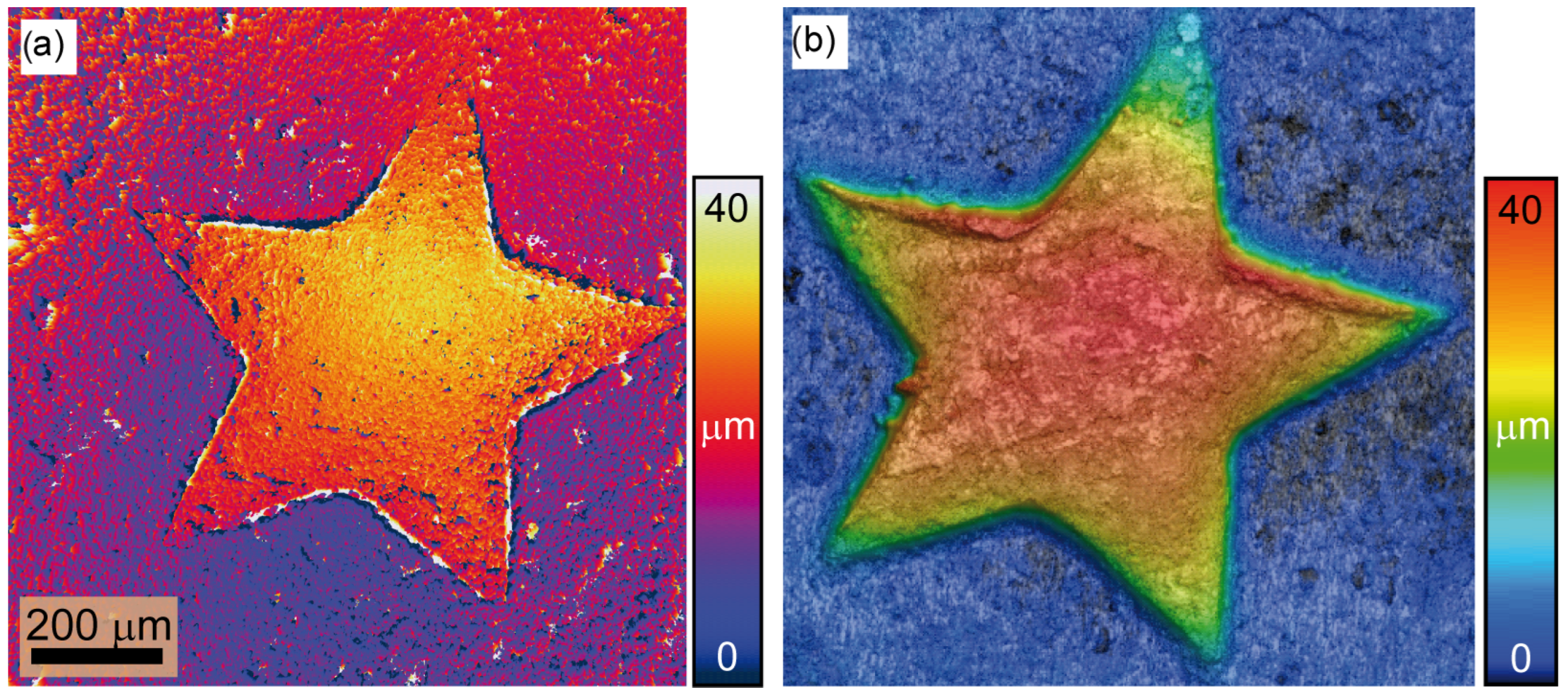 Sensors 24 03072 g010