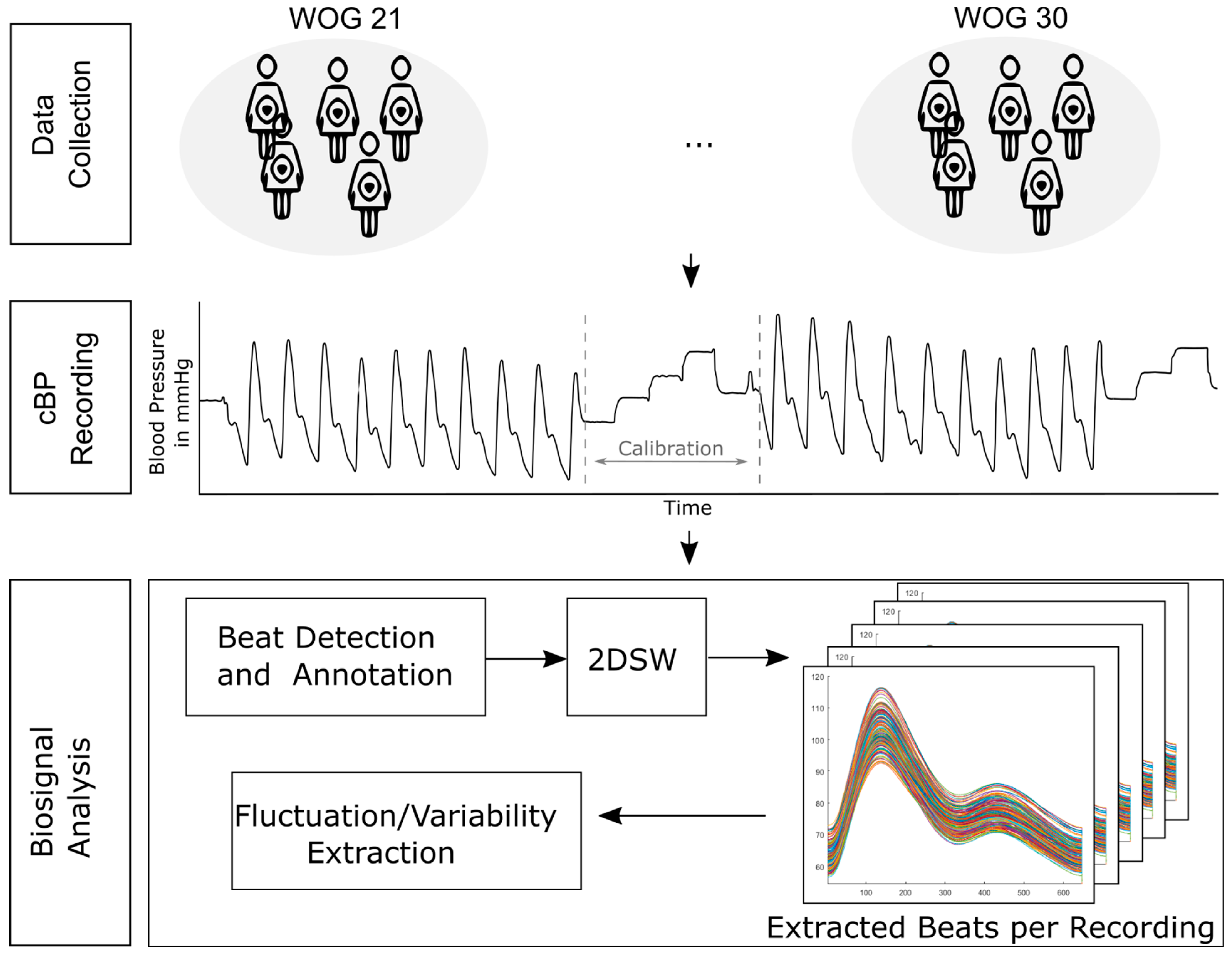 Sensors | Free Full-Text | Novel Metric for Non-Invasive Beat-to-Beat ...