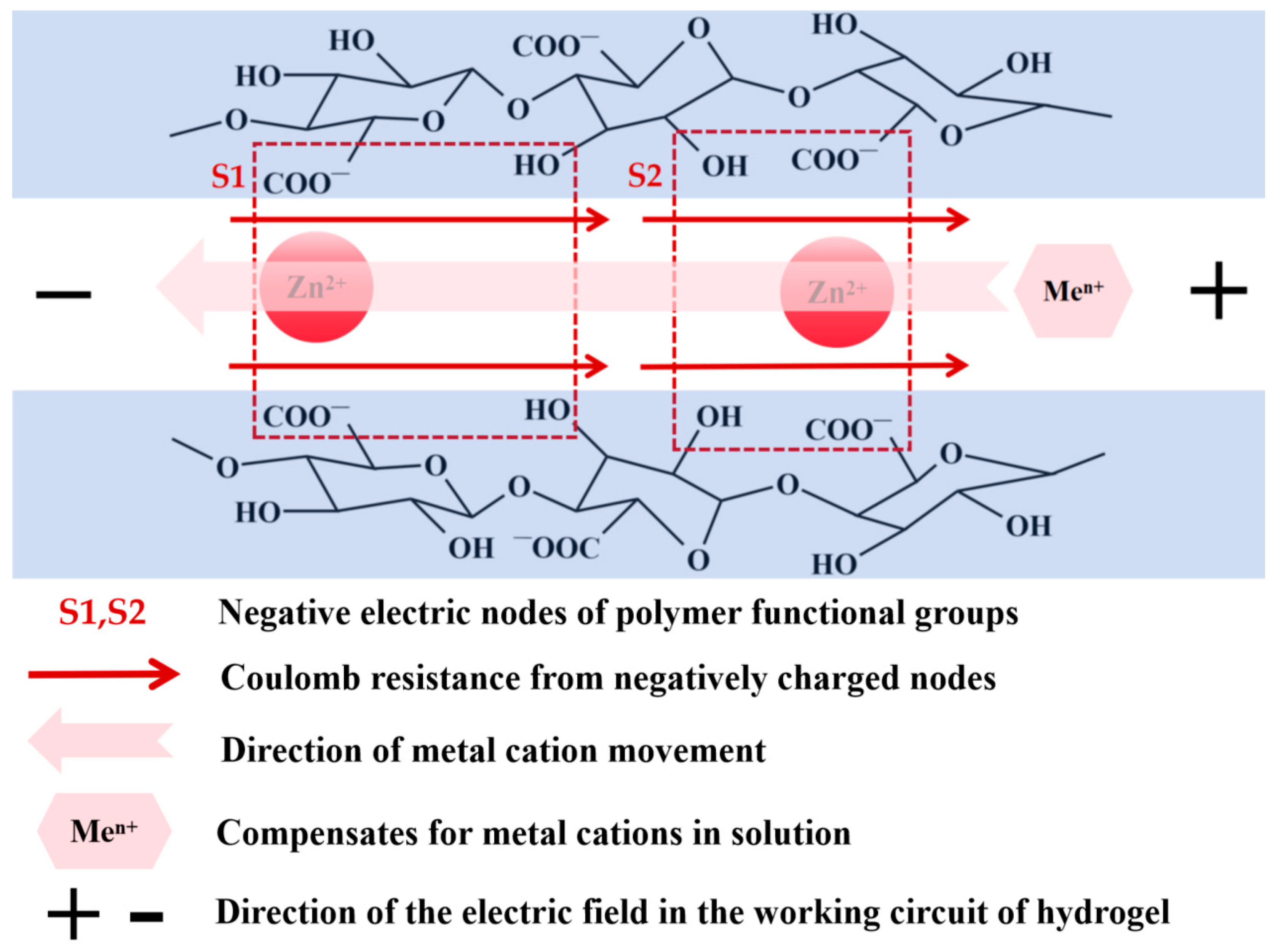 Sensors 24 03232 g015