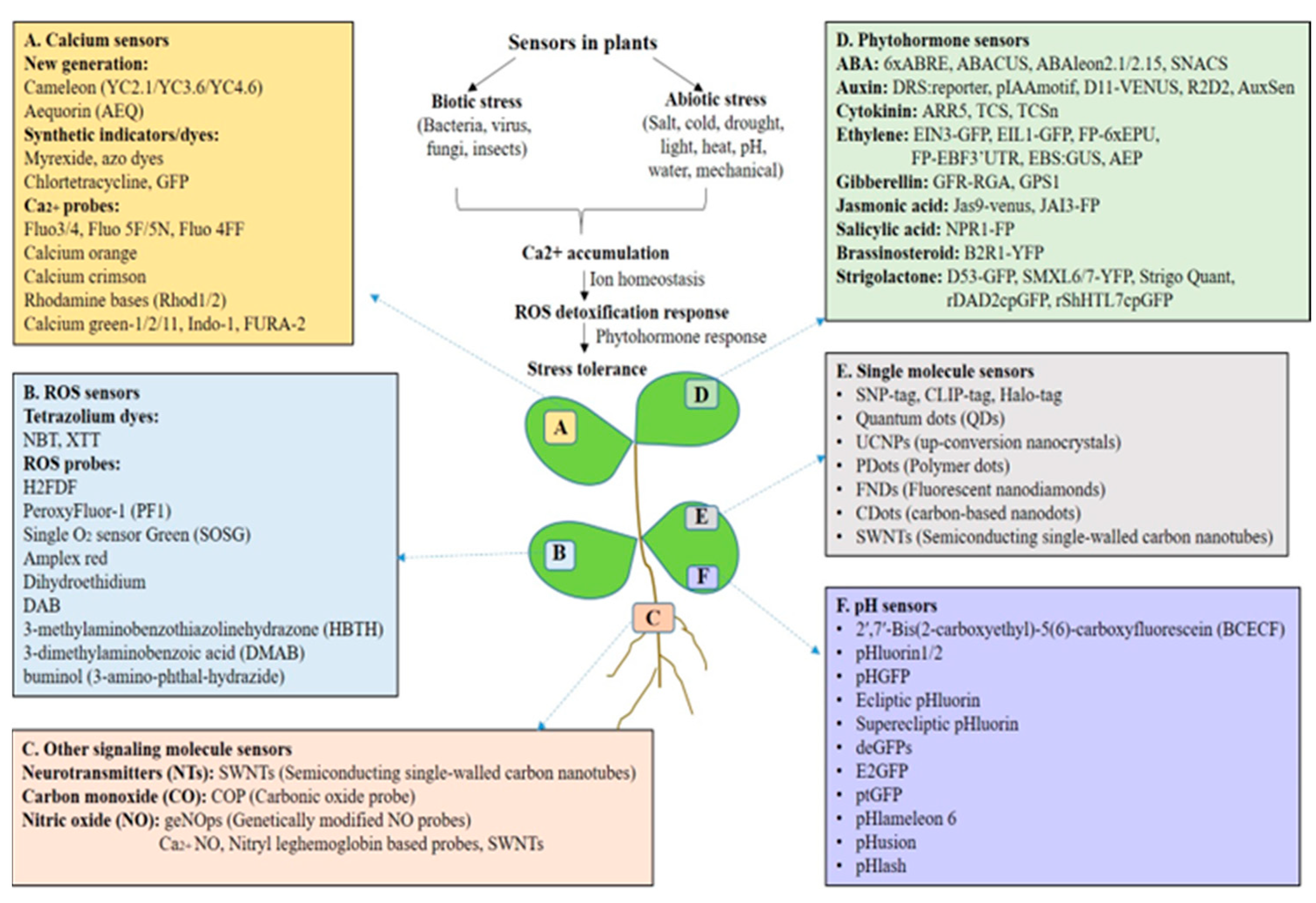 Sensors 24 03261 g001