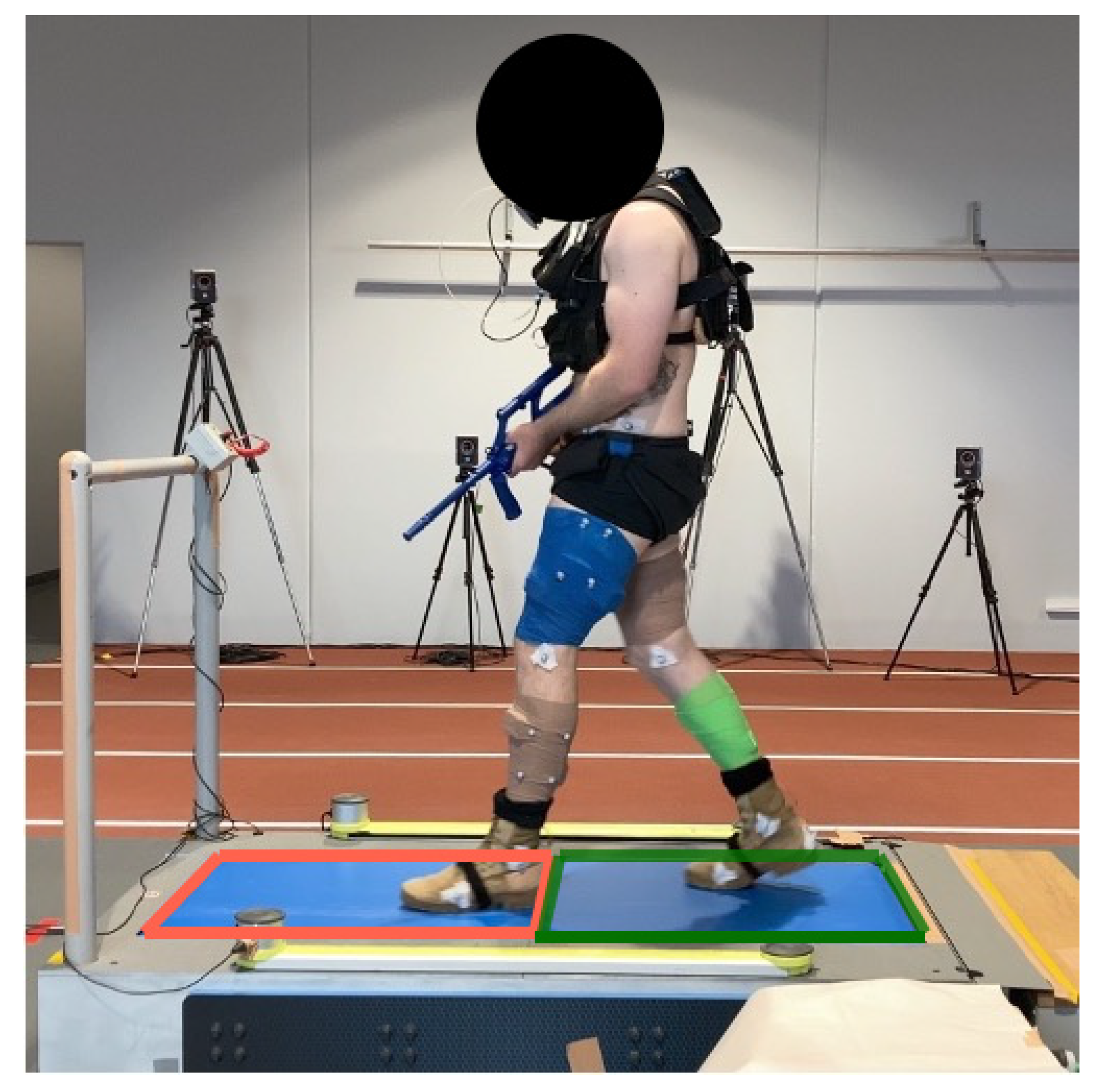 Sensors 24 03378 g001