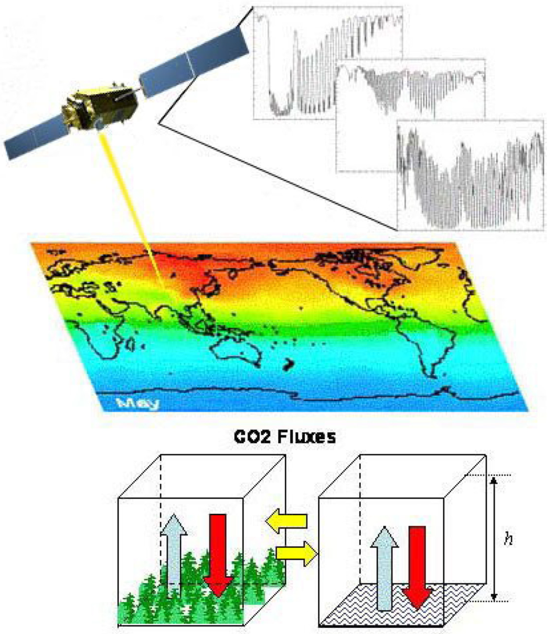 Sensors 24 03488 g011