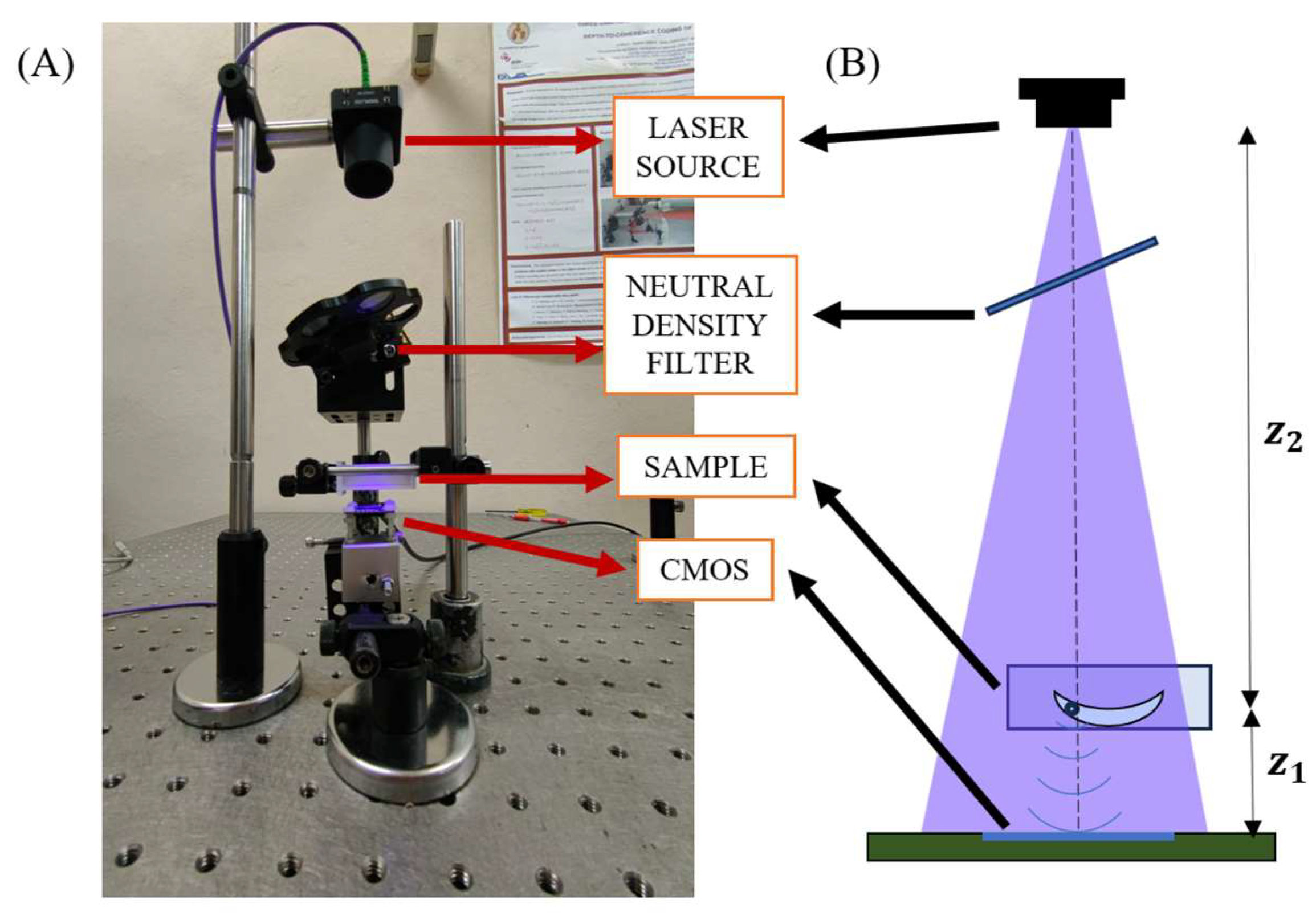 Sensors 24 03492 g001