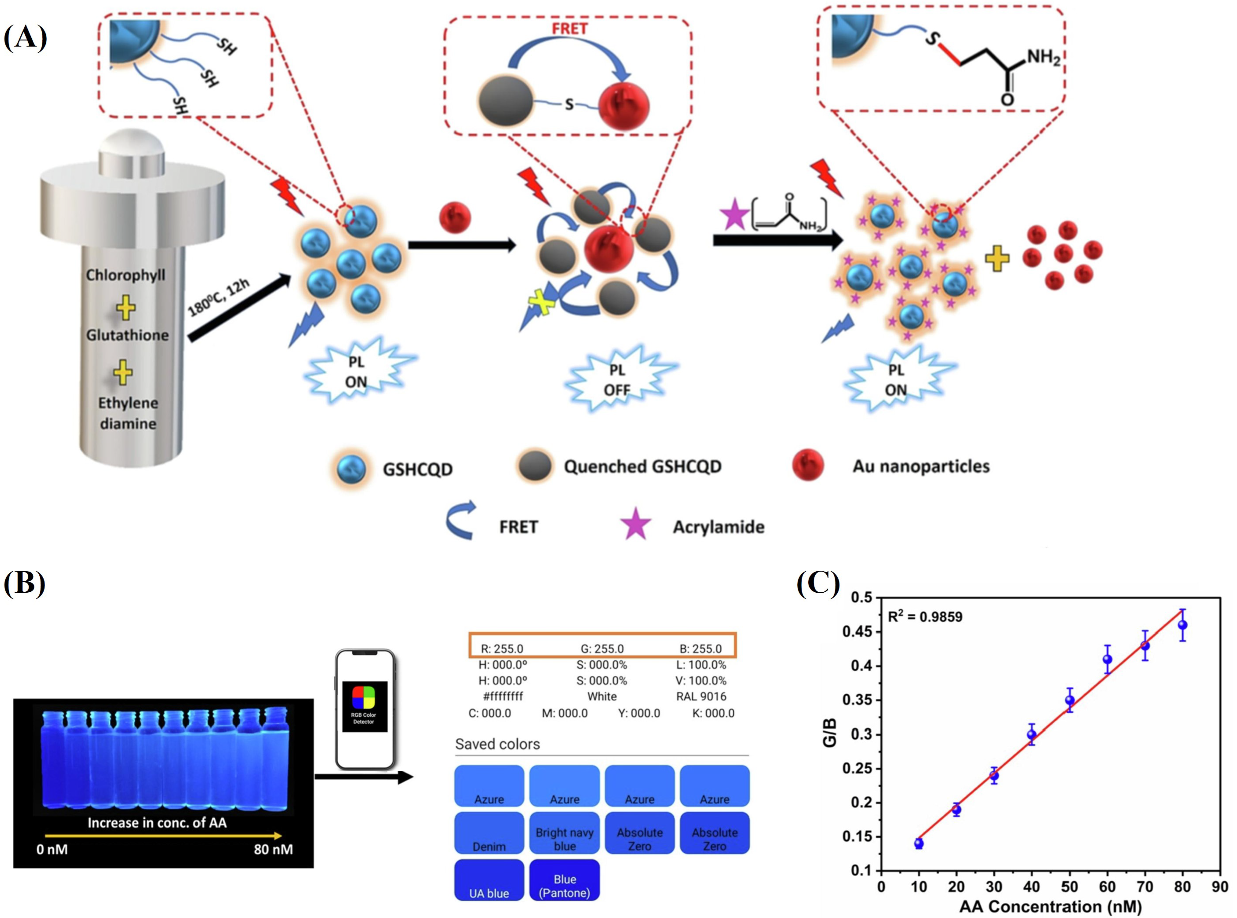 Sensors 24 03501 g004