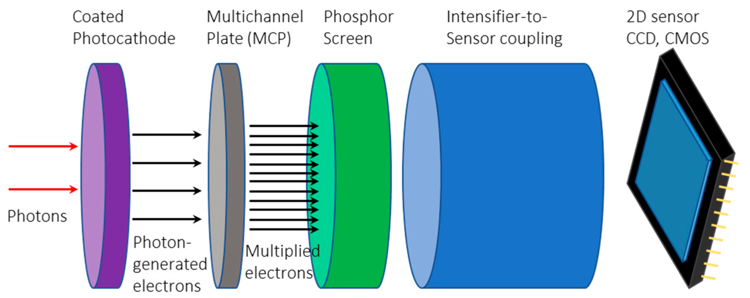 Sensors 24 03539 g004