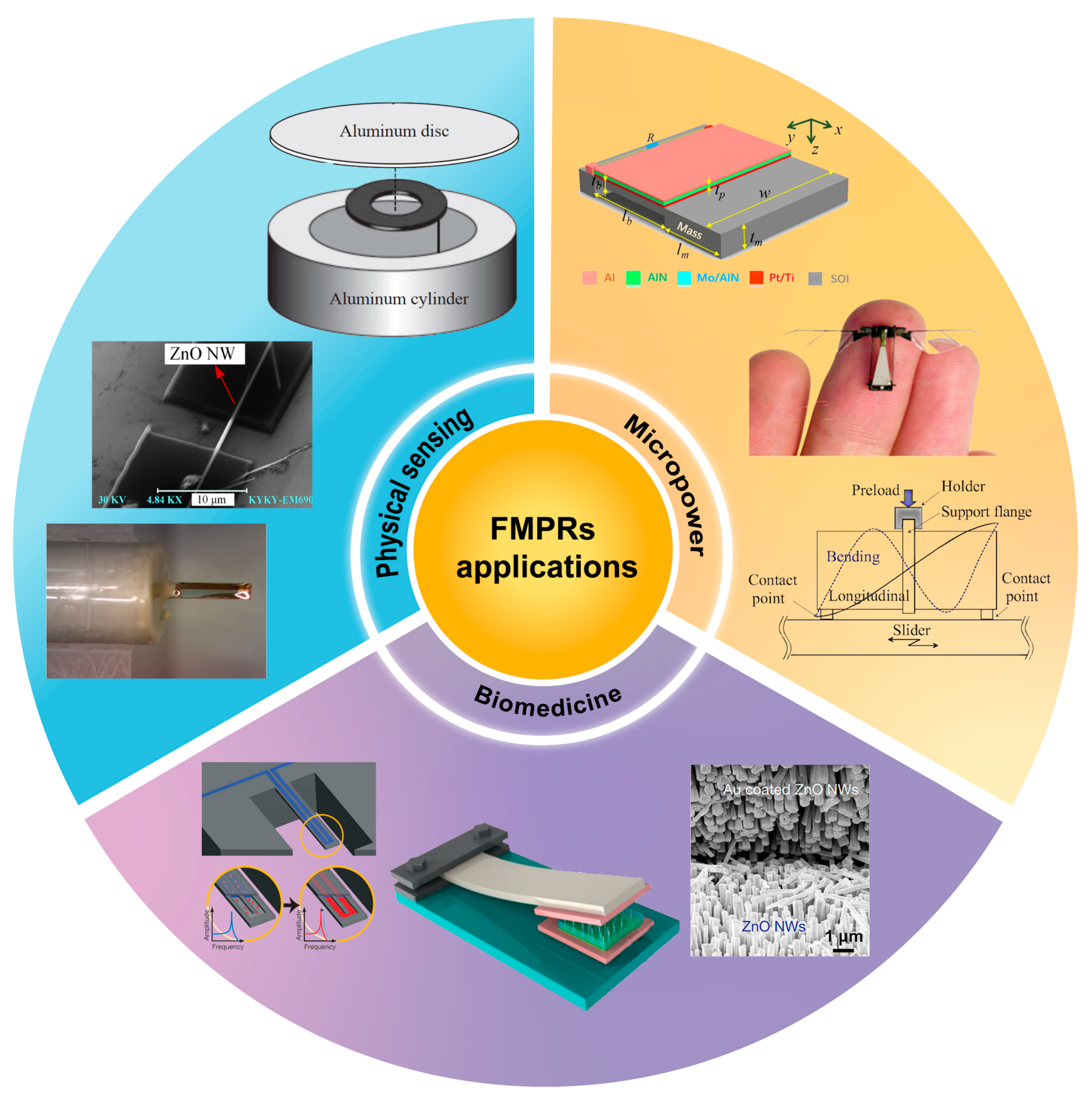 Sensors 24 03625 g001