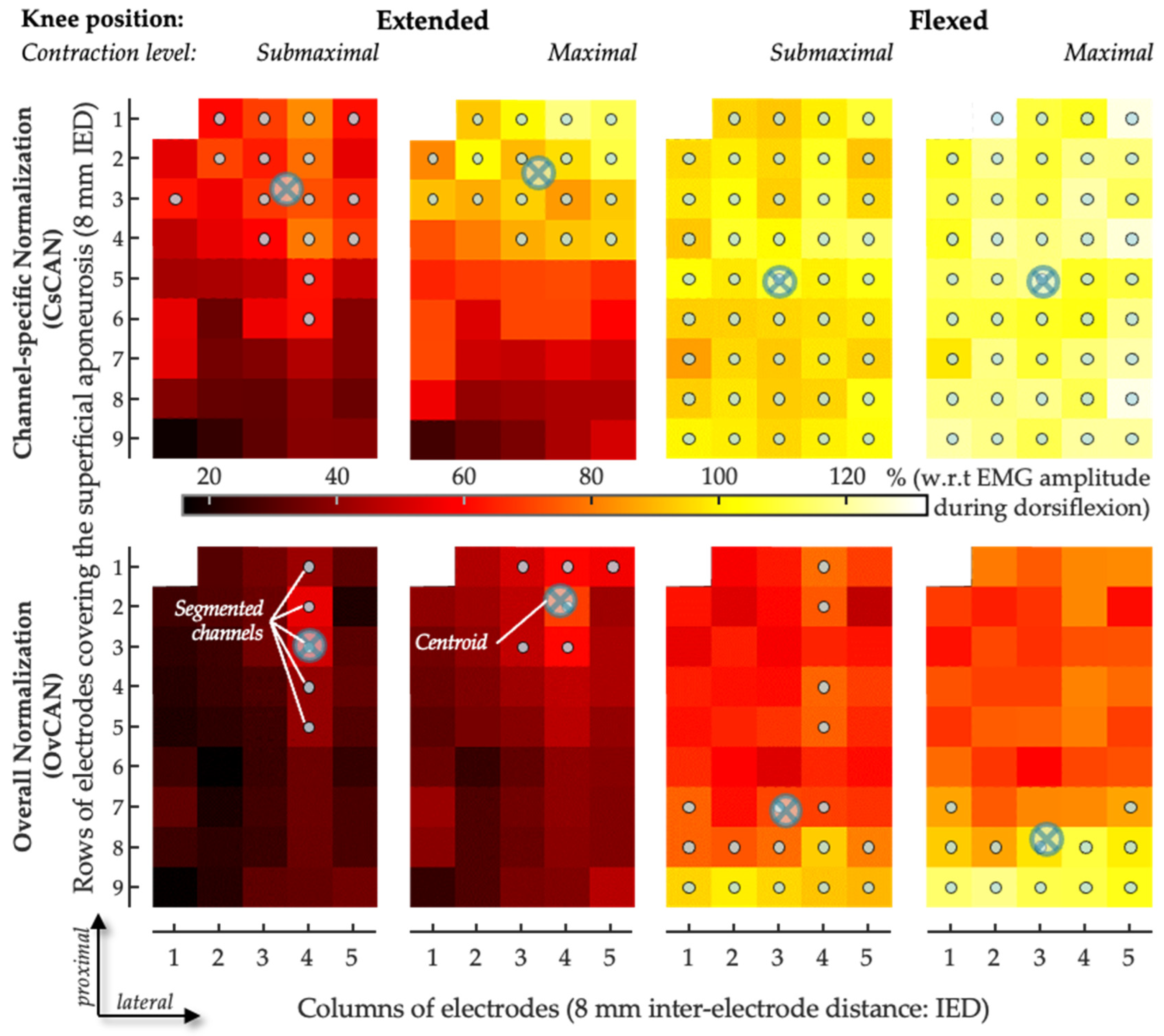Sensors 24 03701 g003