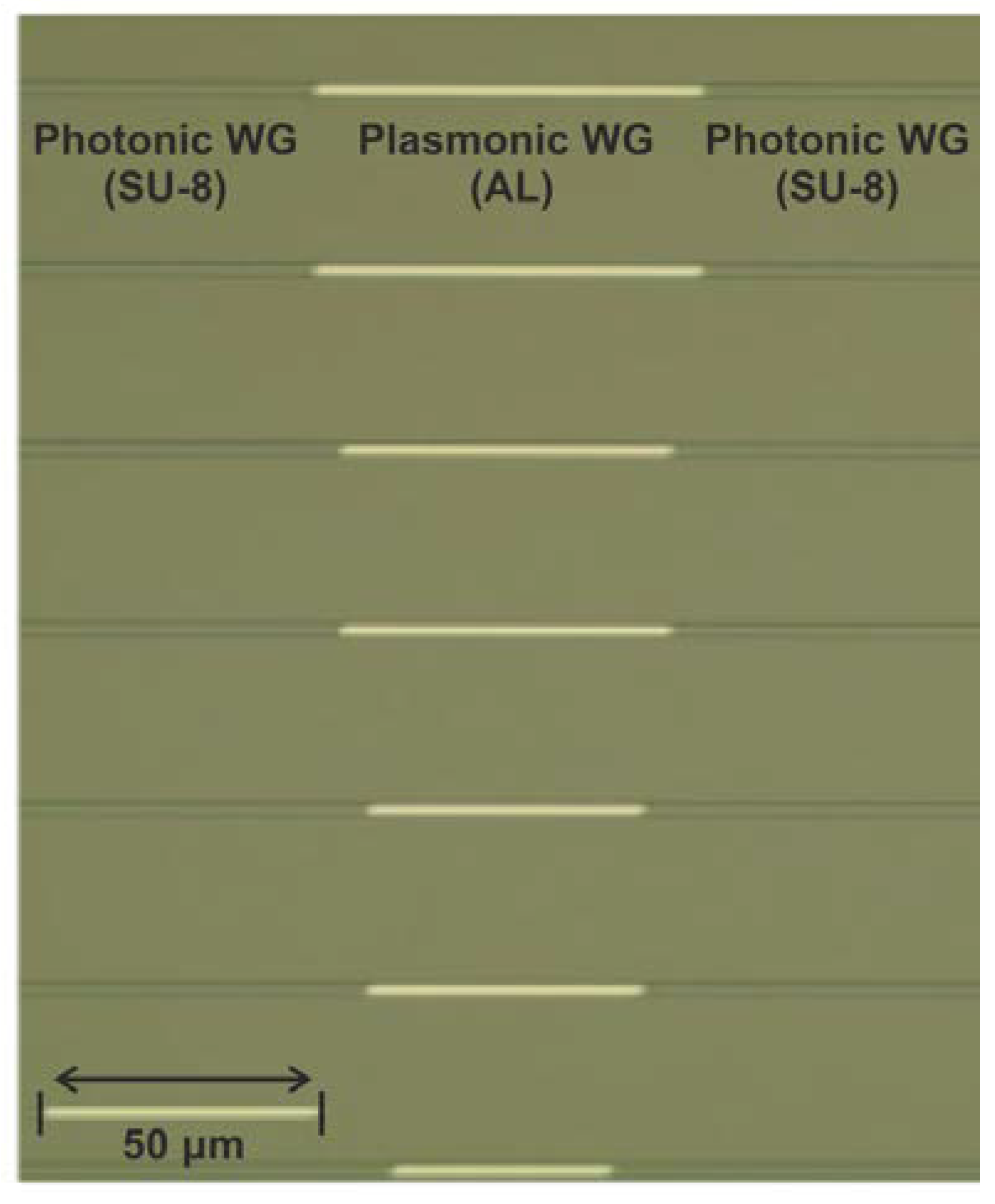 Sensors 24 03705 g003