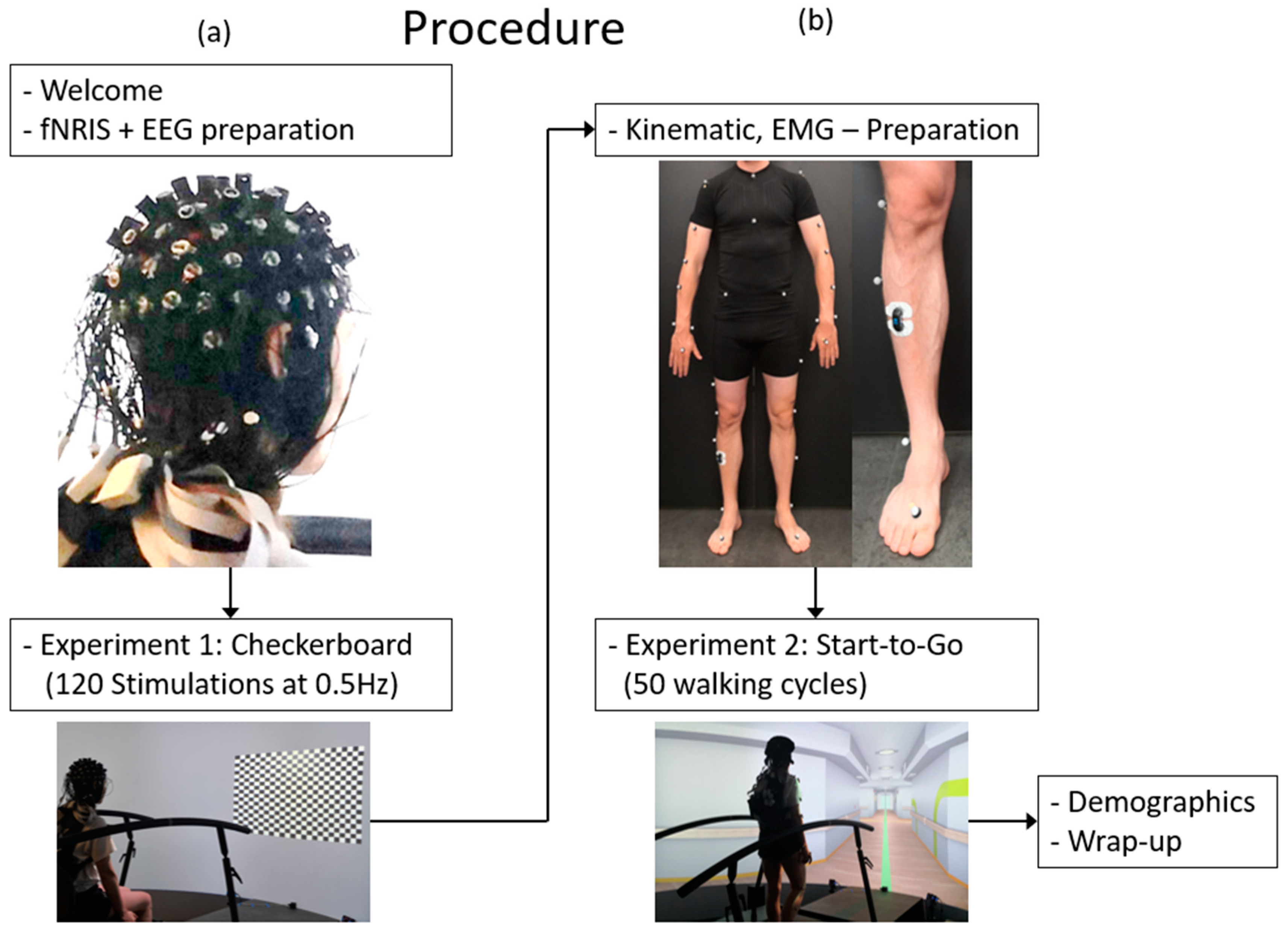 Sensors 24 03779 g004
