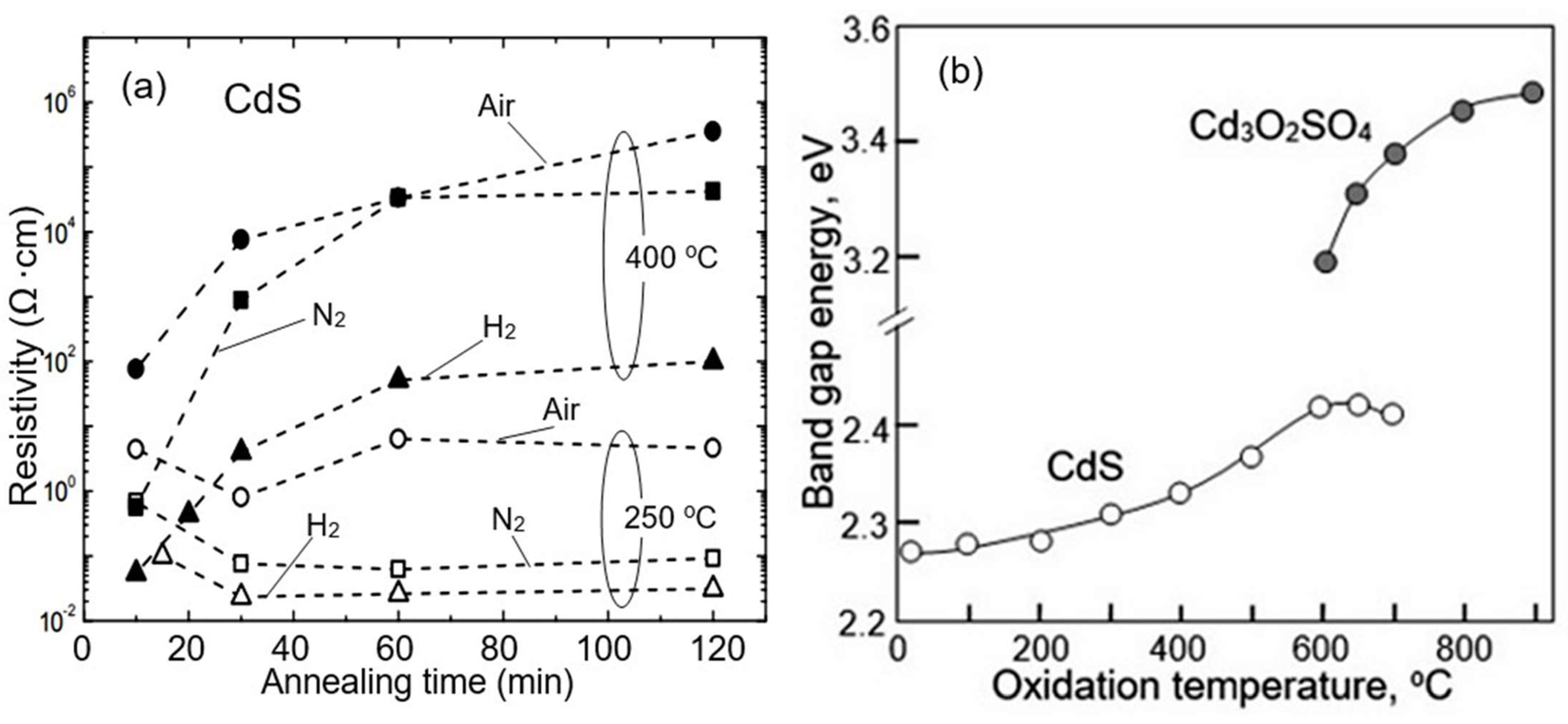Sensors 24 03861 g019