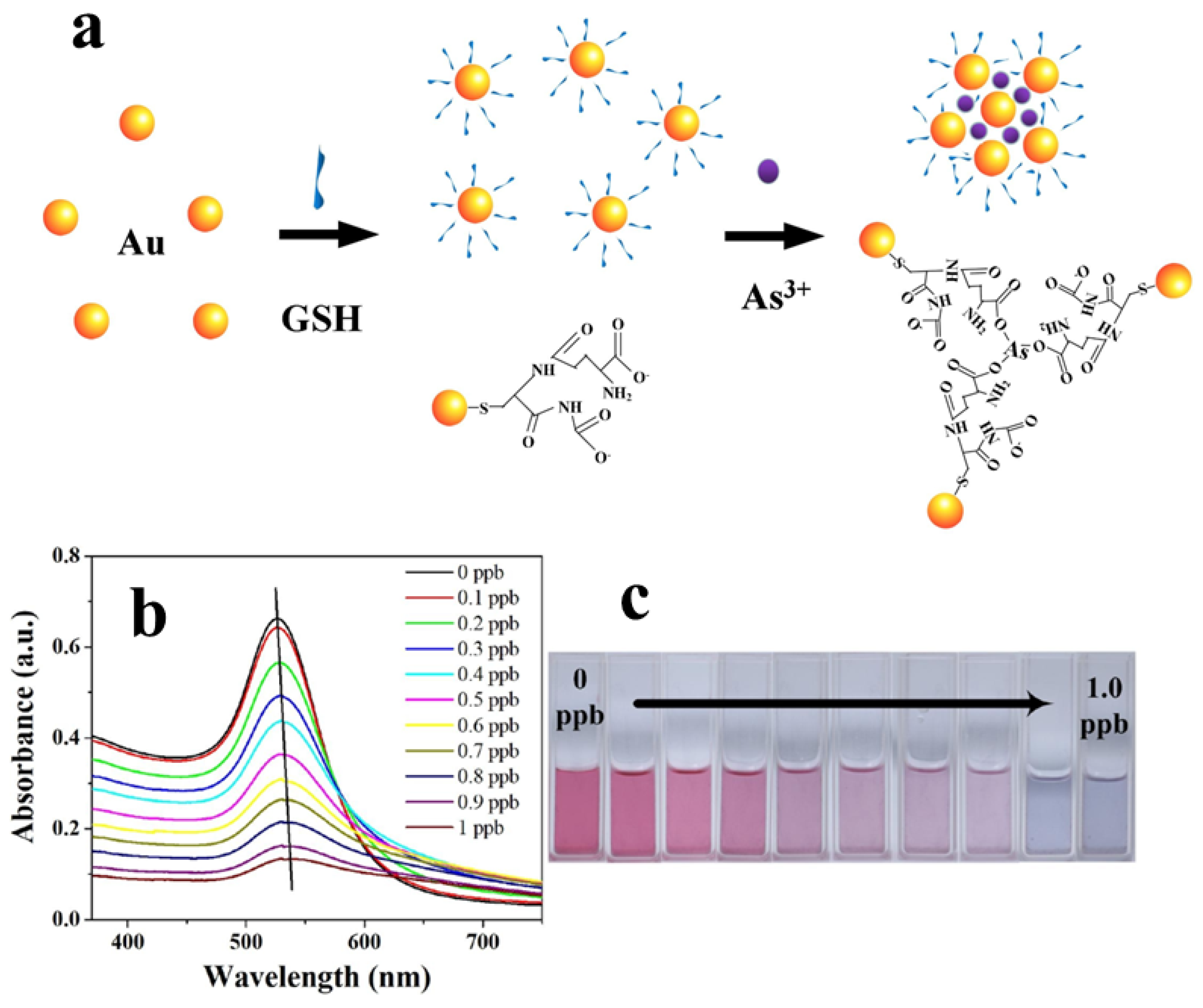 Sensors 24 03889 g006