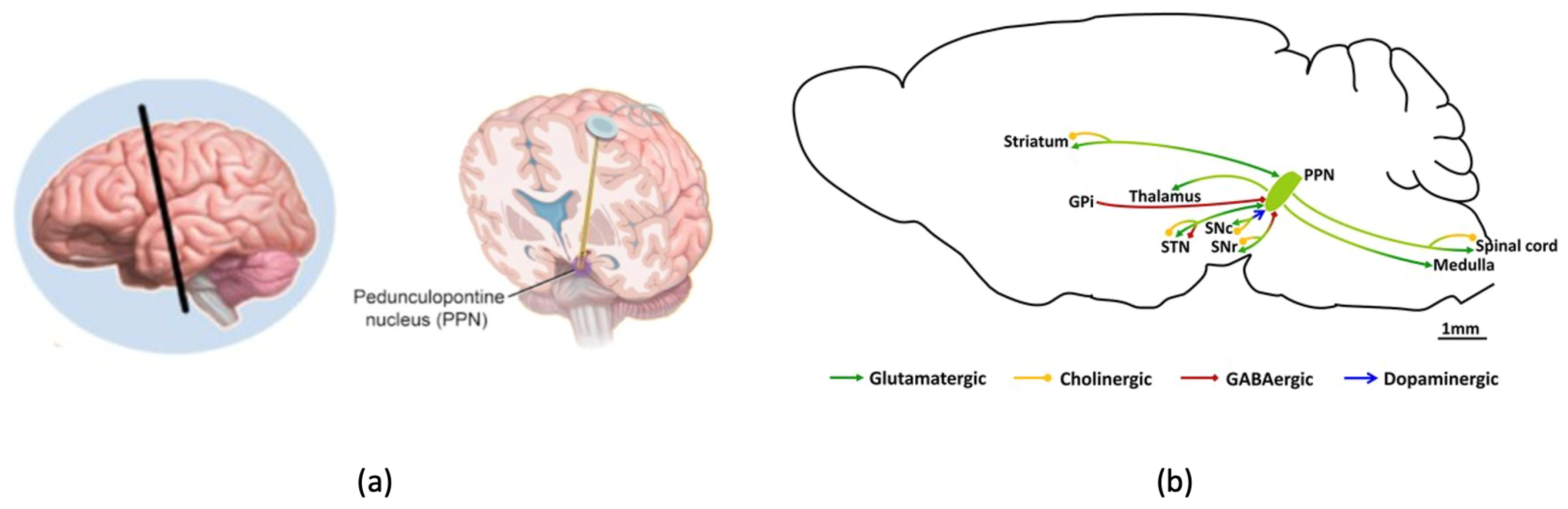 Sensors 24 03959 g001