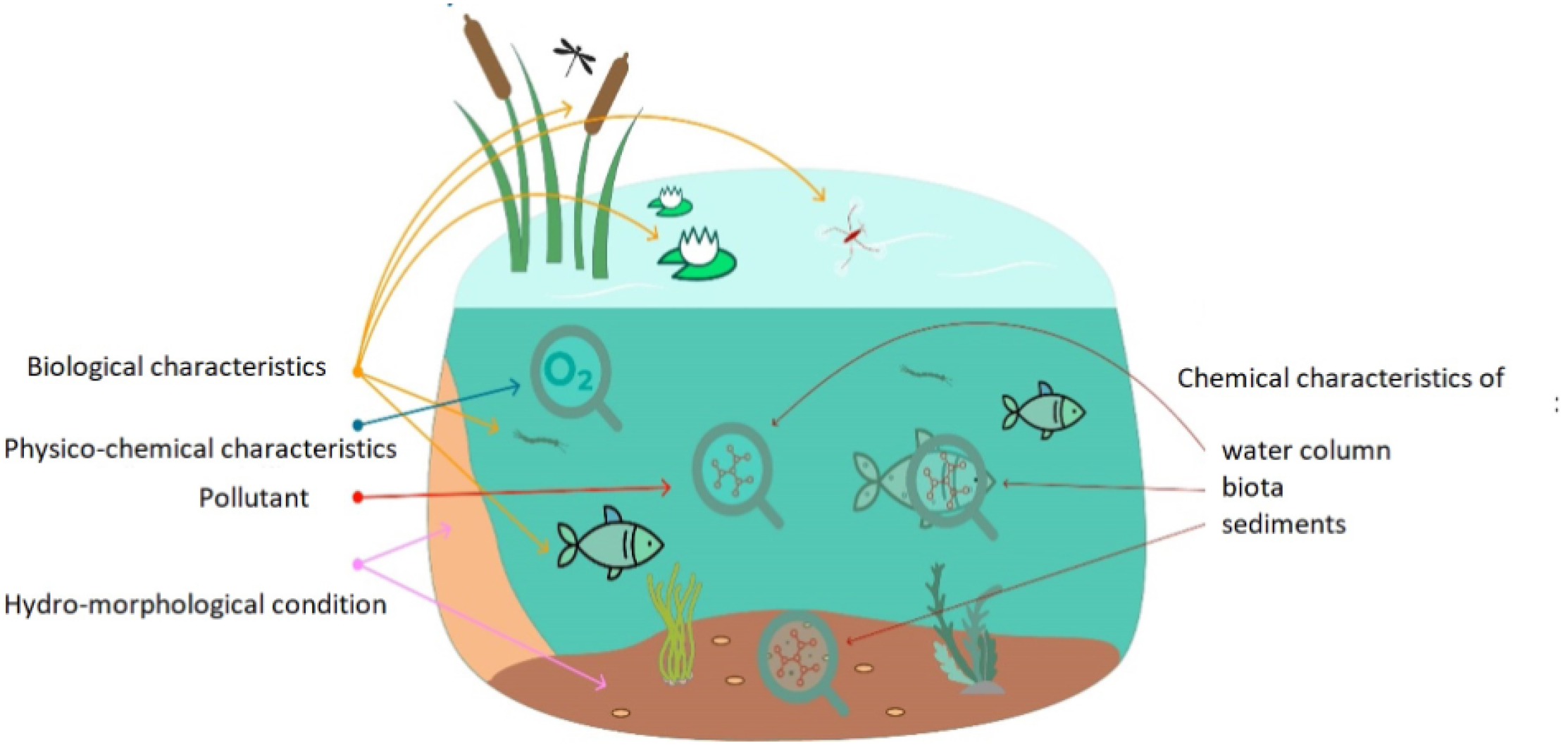 Sensors 24 04084 g006