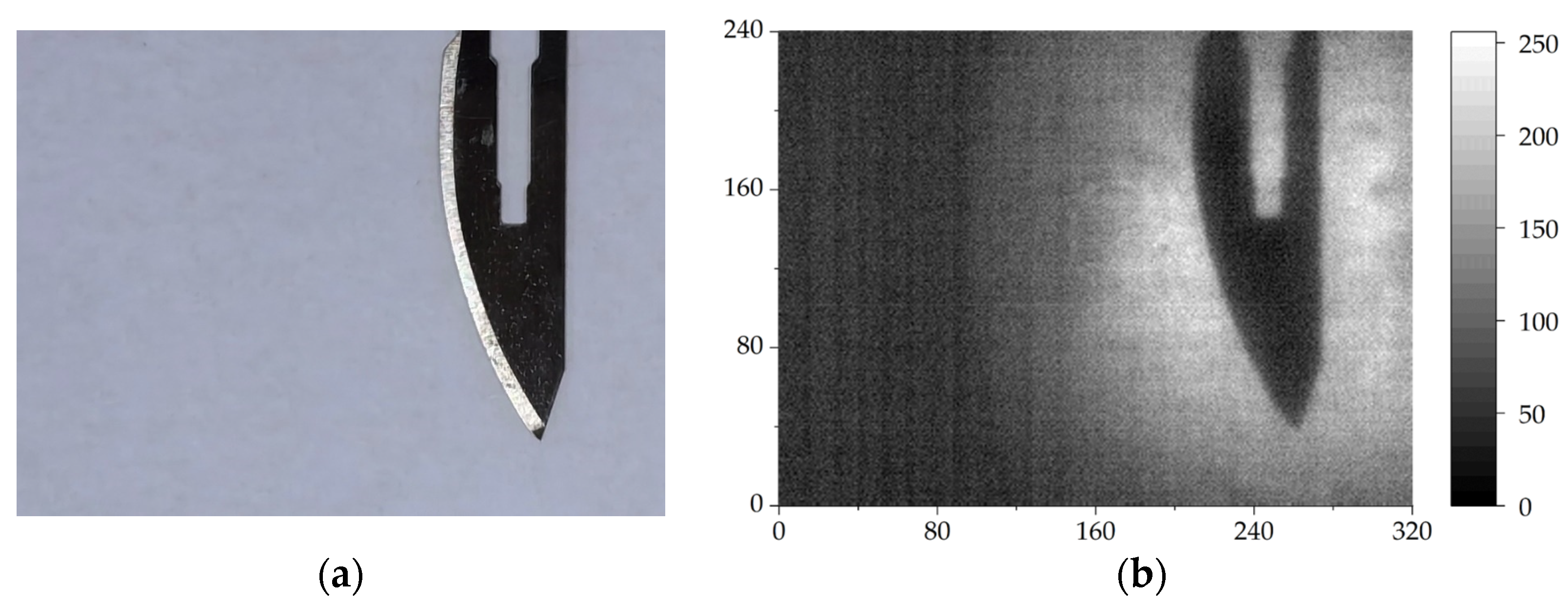 Sensors 24 04160 g002