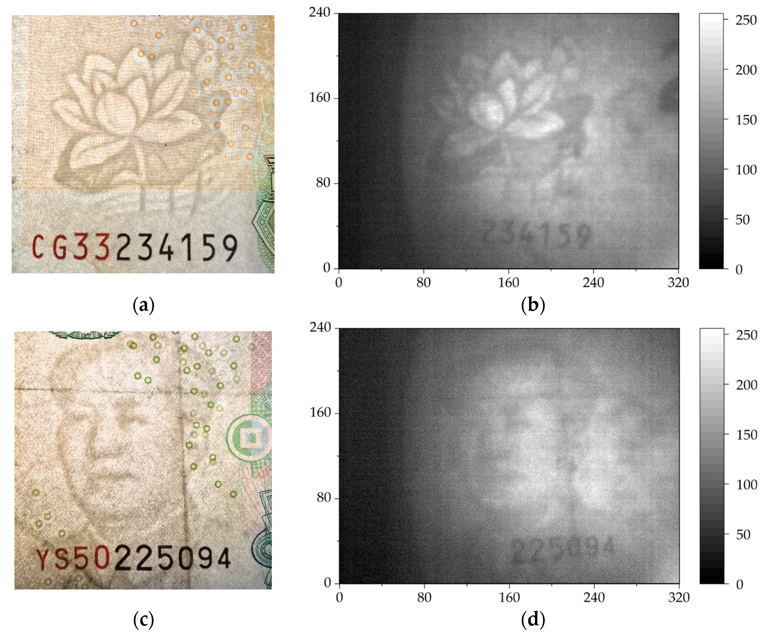 Sensors 24 04160 g003