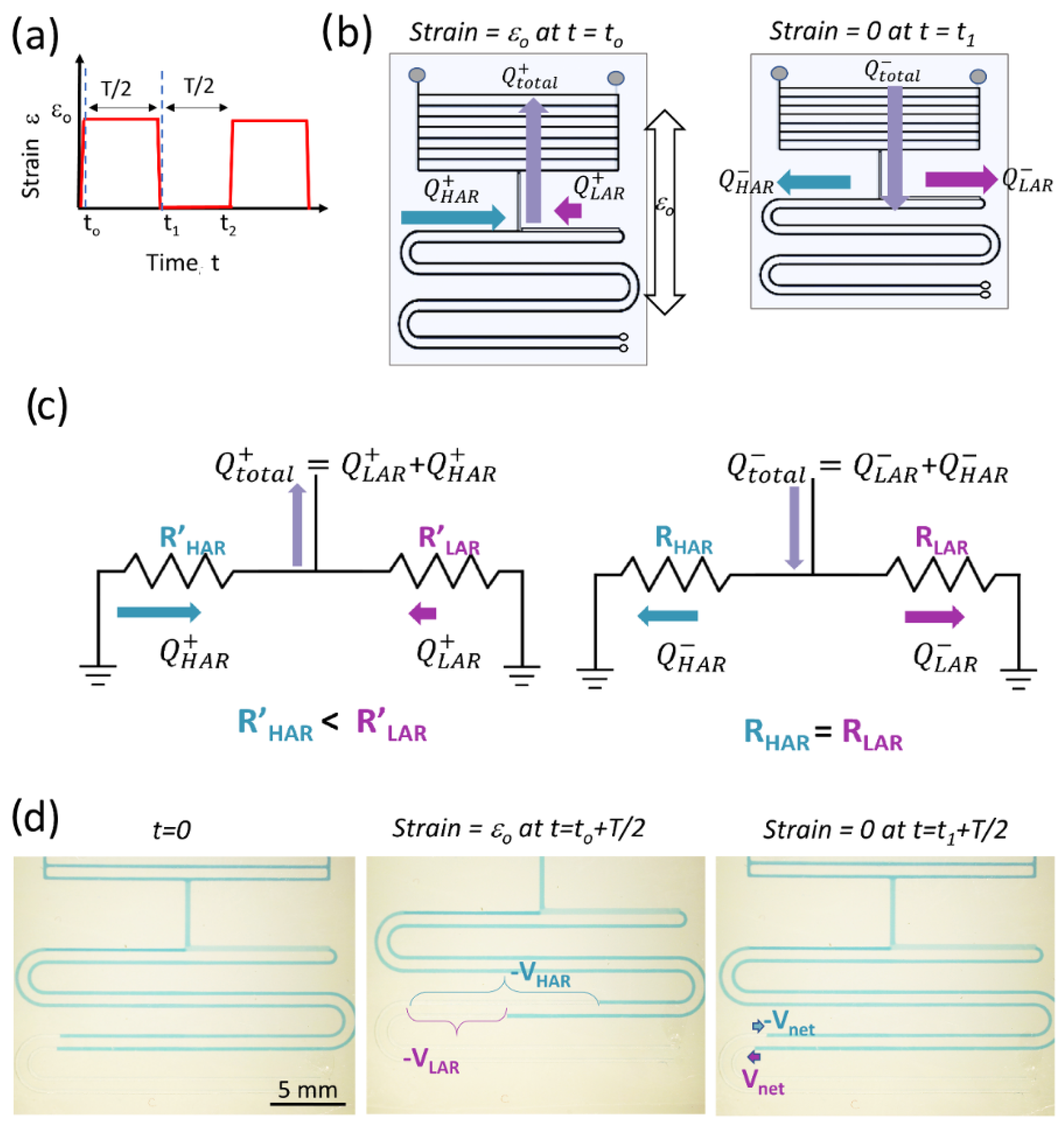 Sensors 24 04207 g002