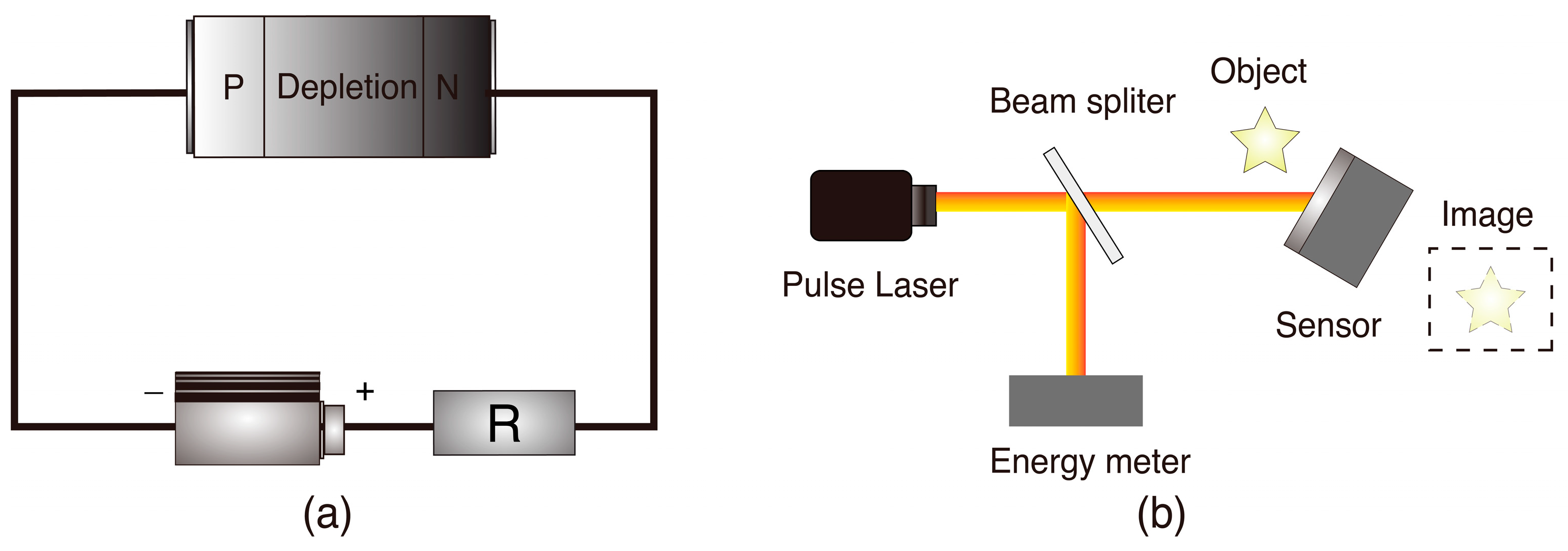 Sensors 24 04226 g002