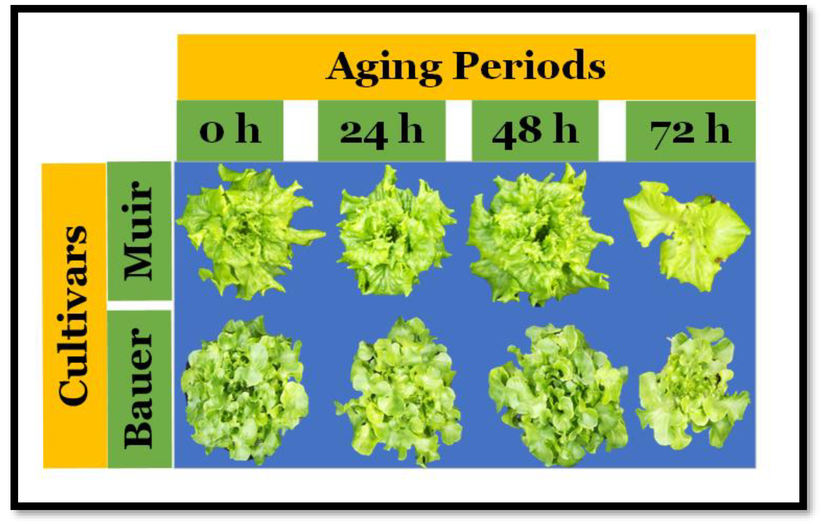 Sensors 24 04235 g005 Sensors 24 04235 g005