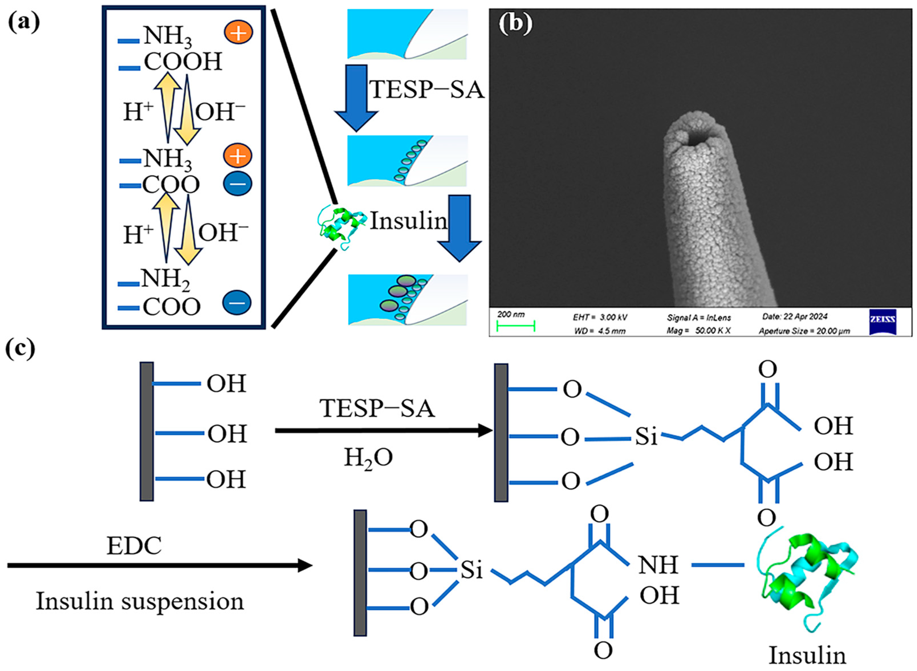 Sensors 24 04264 g001