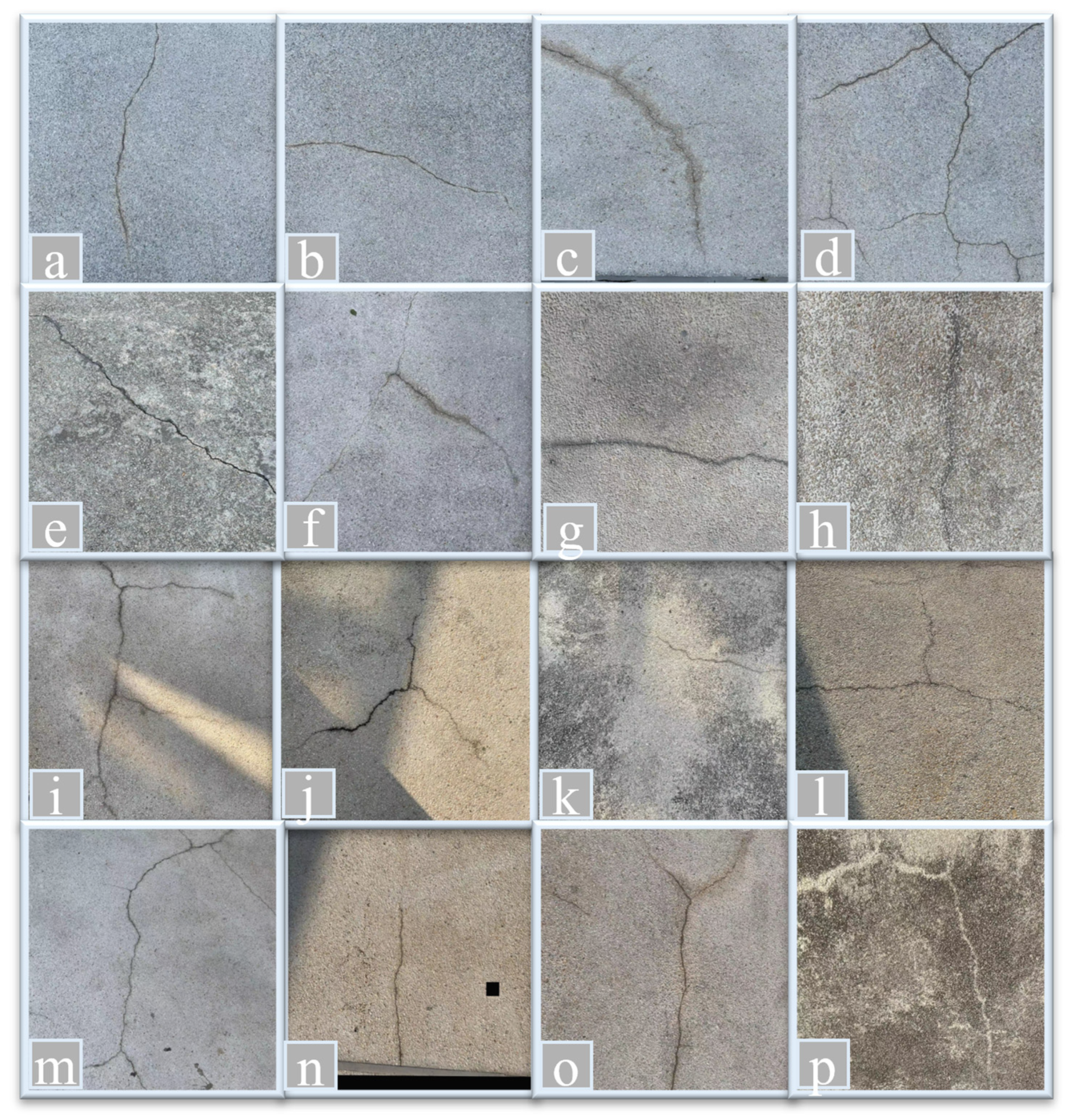 Sensors 24 04288 g012