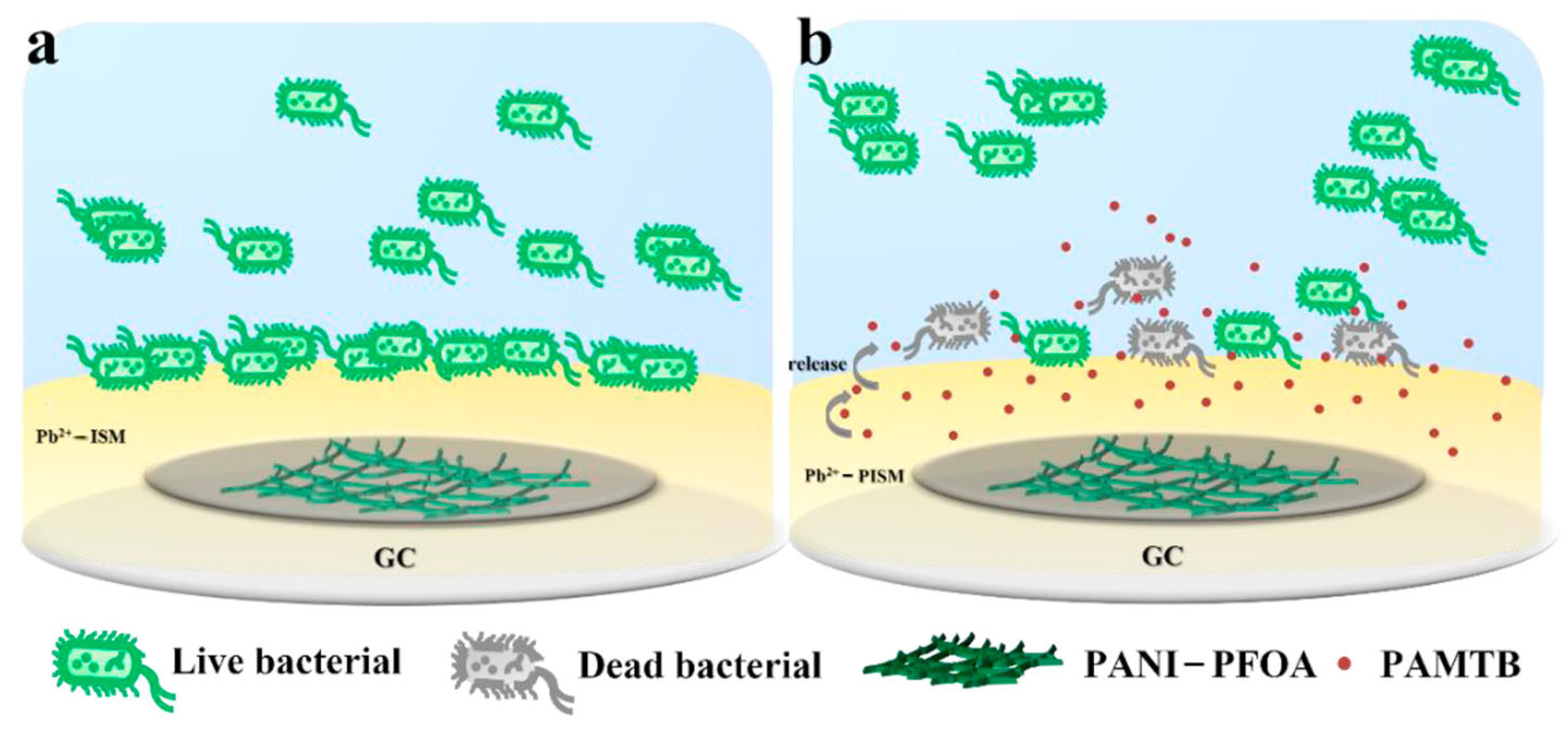 Sensors 24 04289 g002