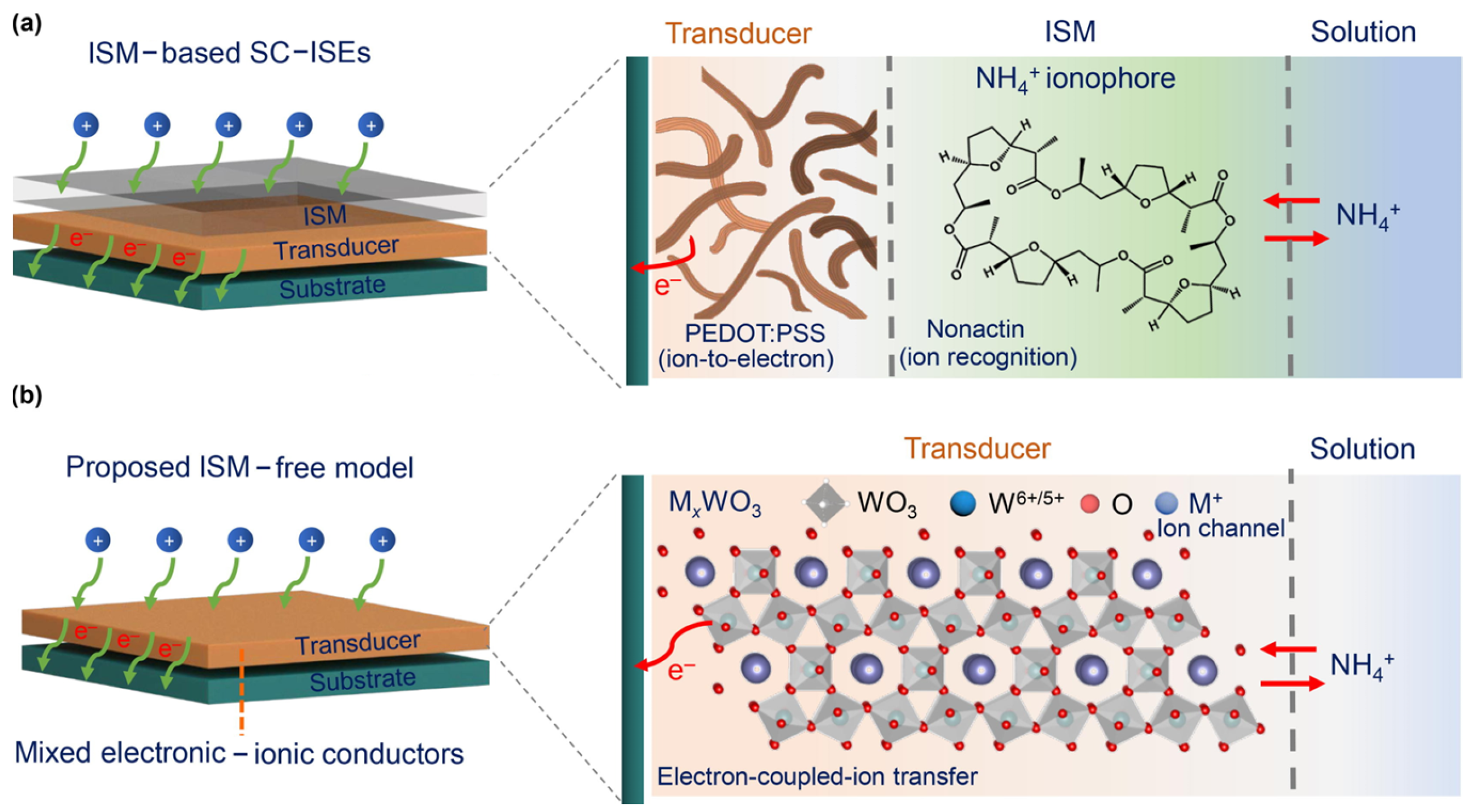 Sensors 24 04289 g006