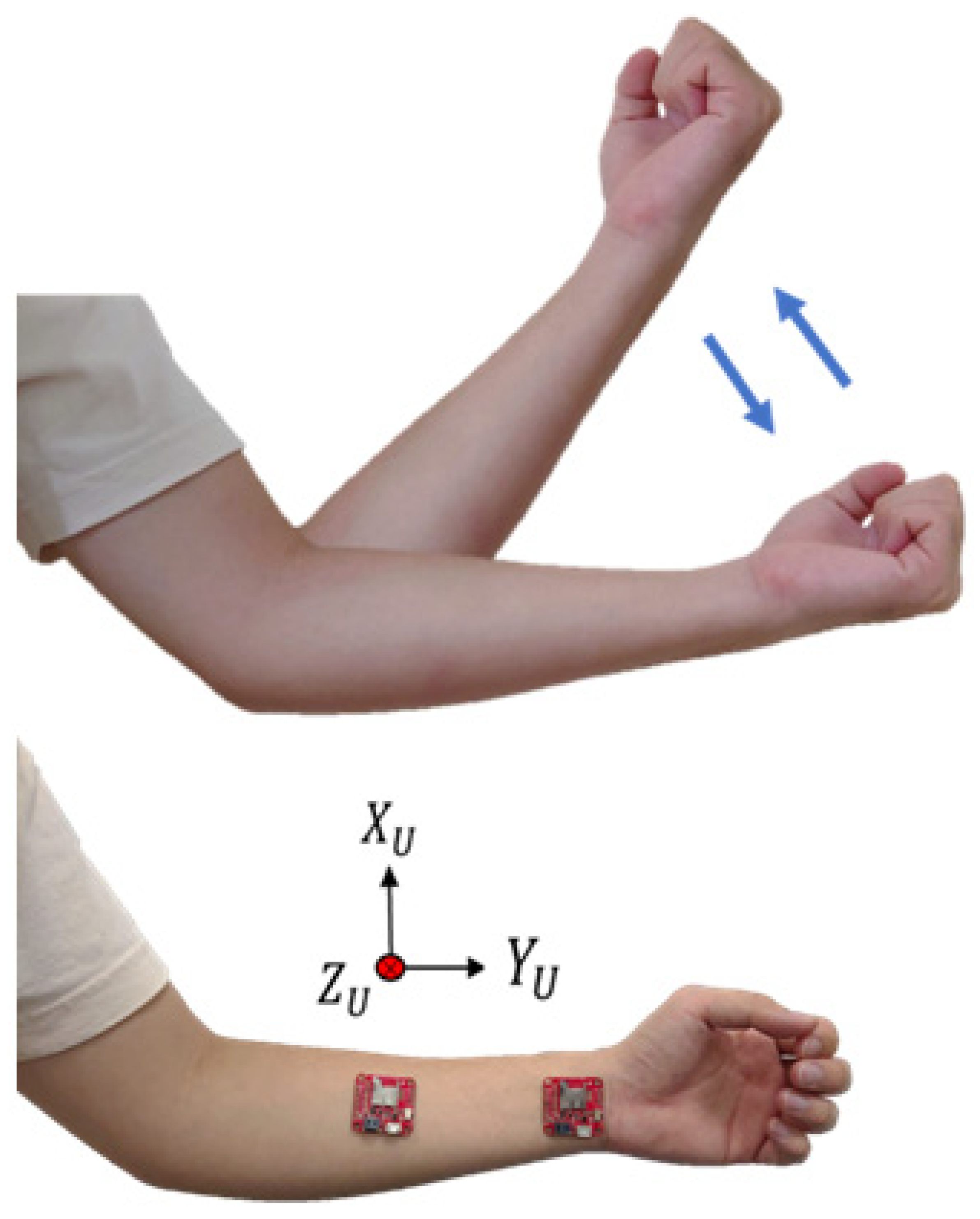 Sensors 24 04306 g007