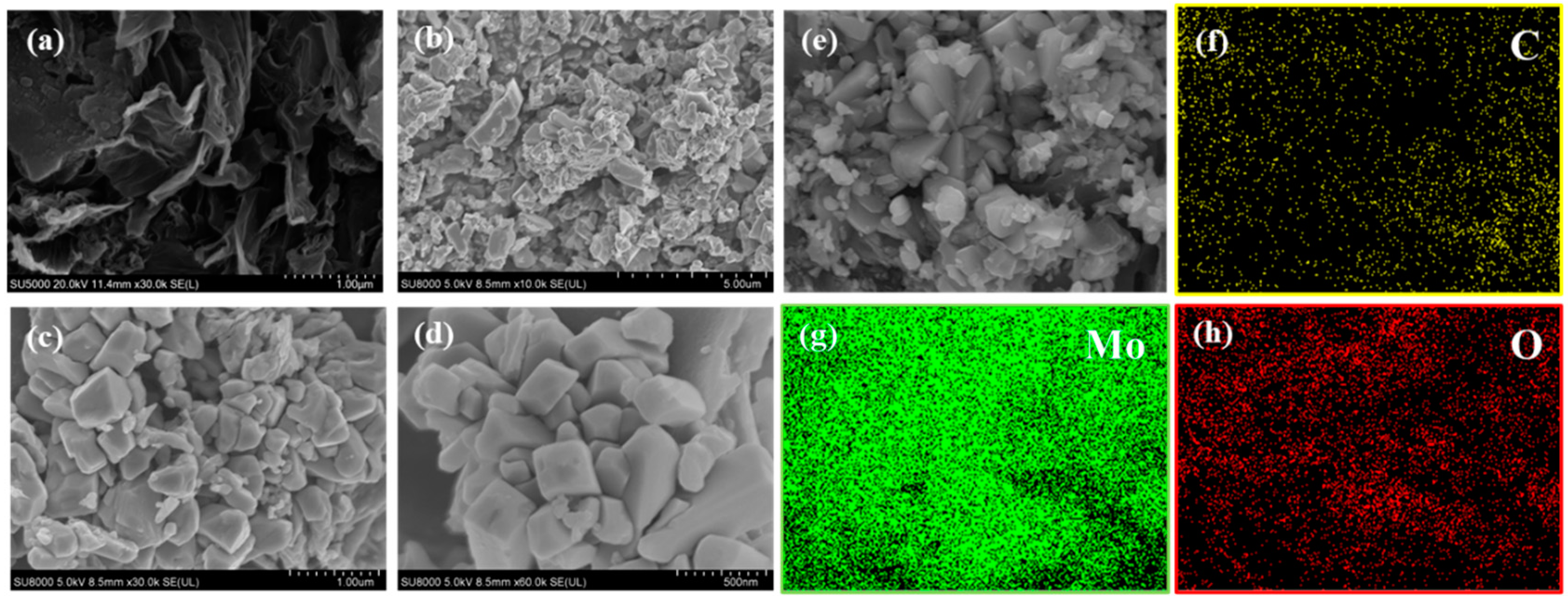 Sensors 24 04320 g006