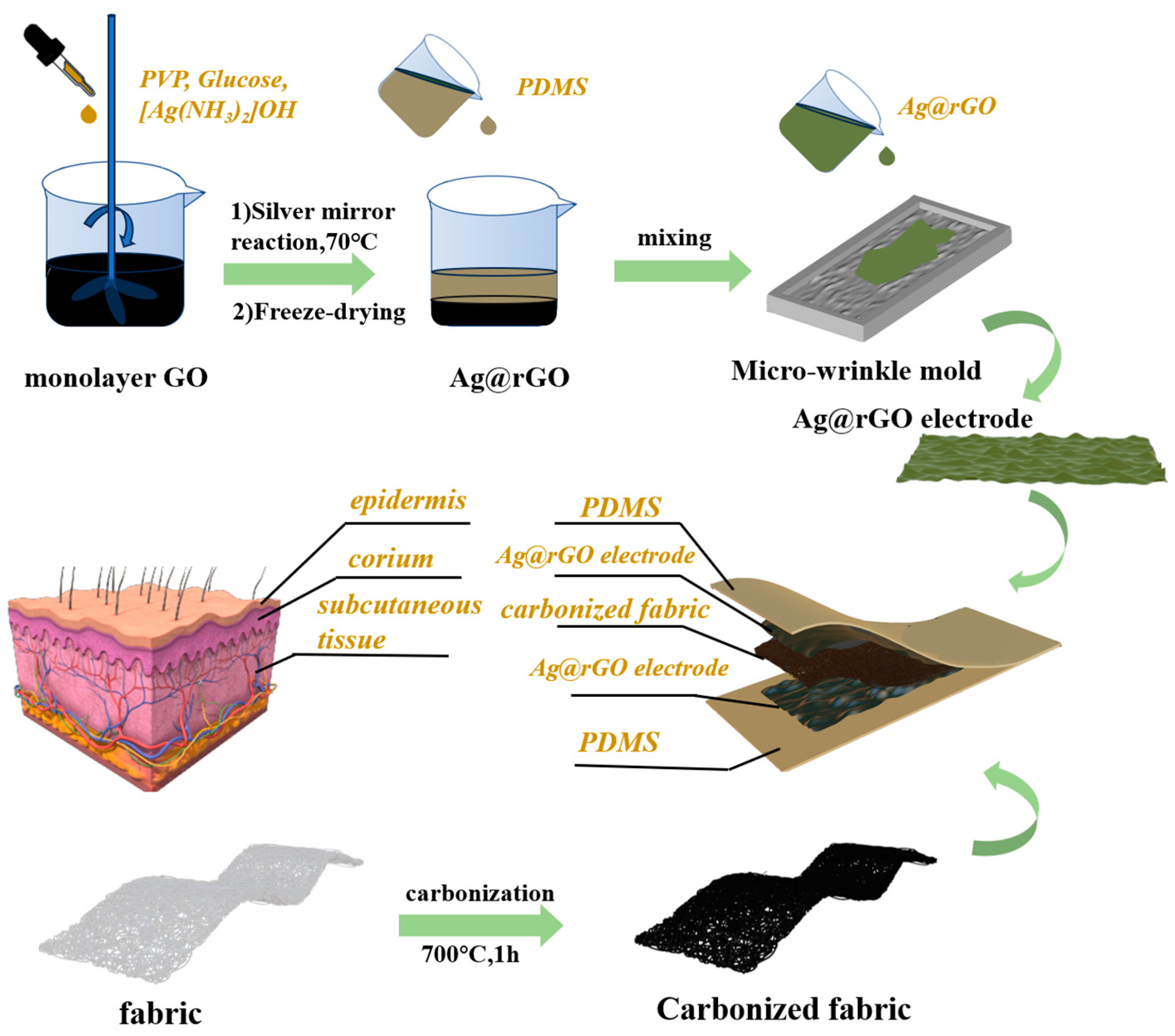 Sensors 24 04321 g001