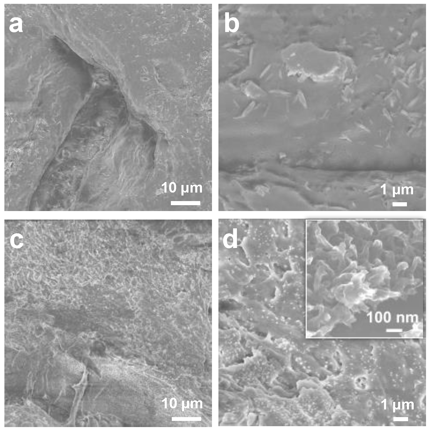 Sensors 24 04324 g004