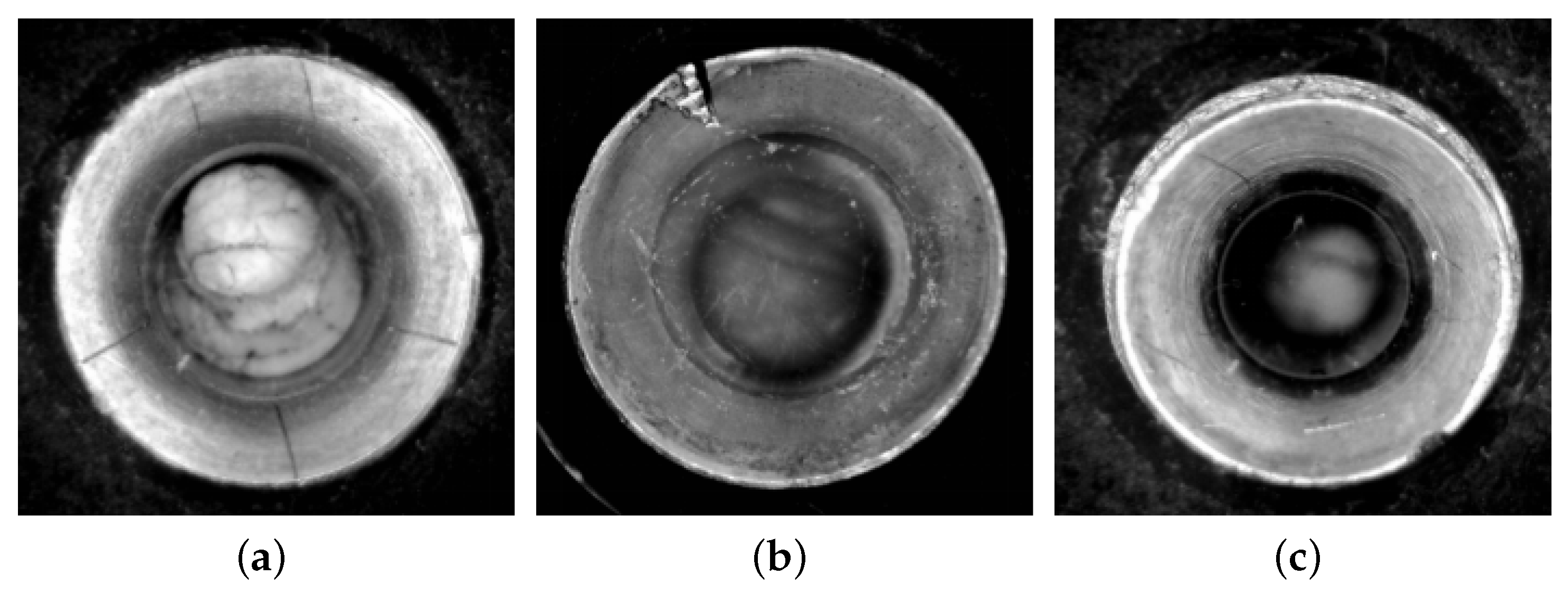 Sensors 24 04331 g004