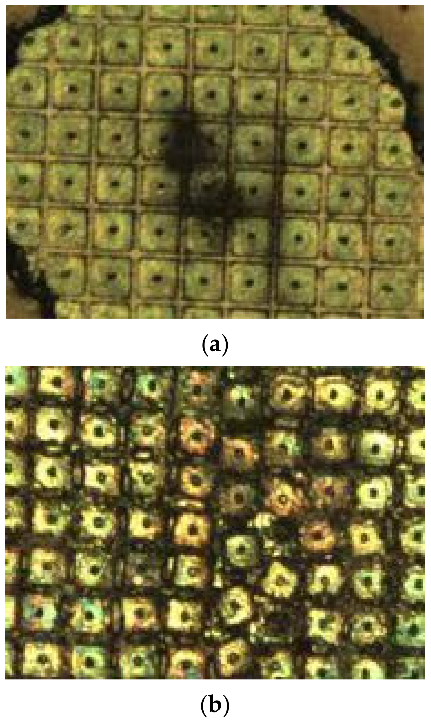 Sensors 24 04380 g012