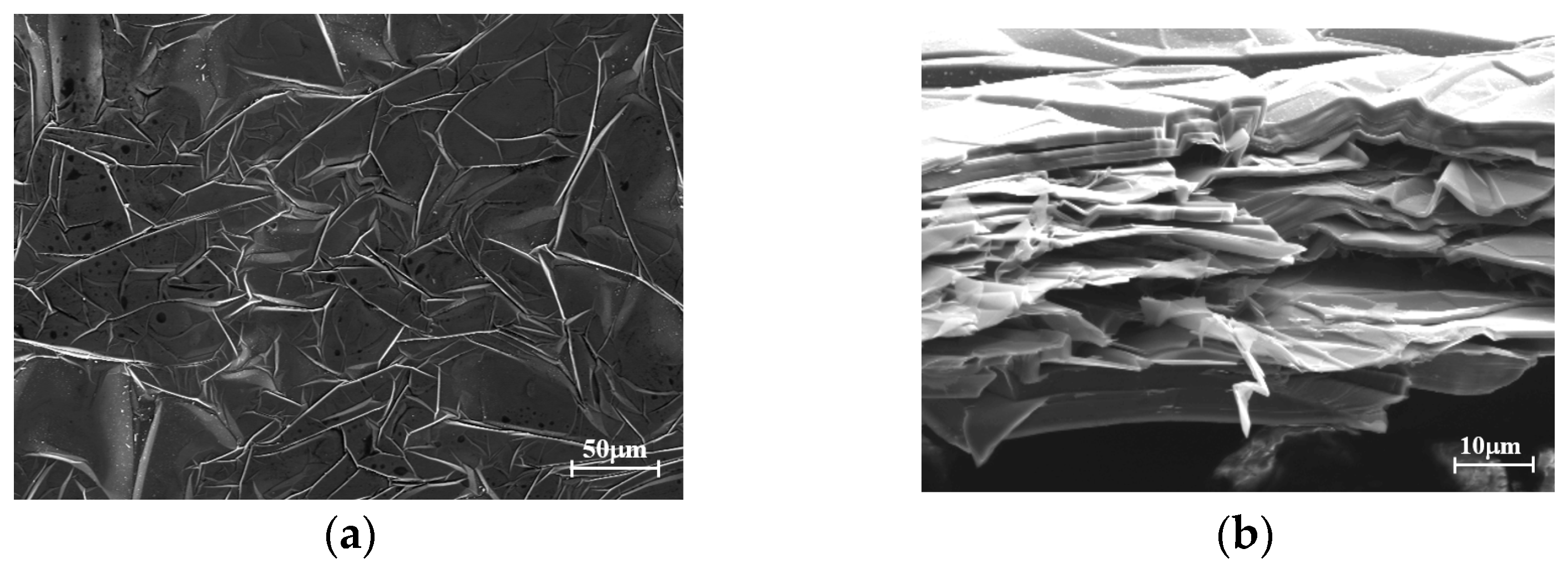 Sensors 24 04388 g001