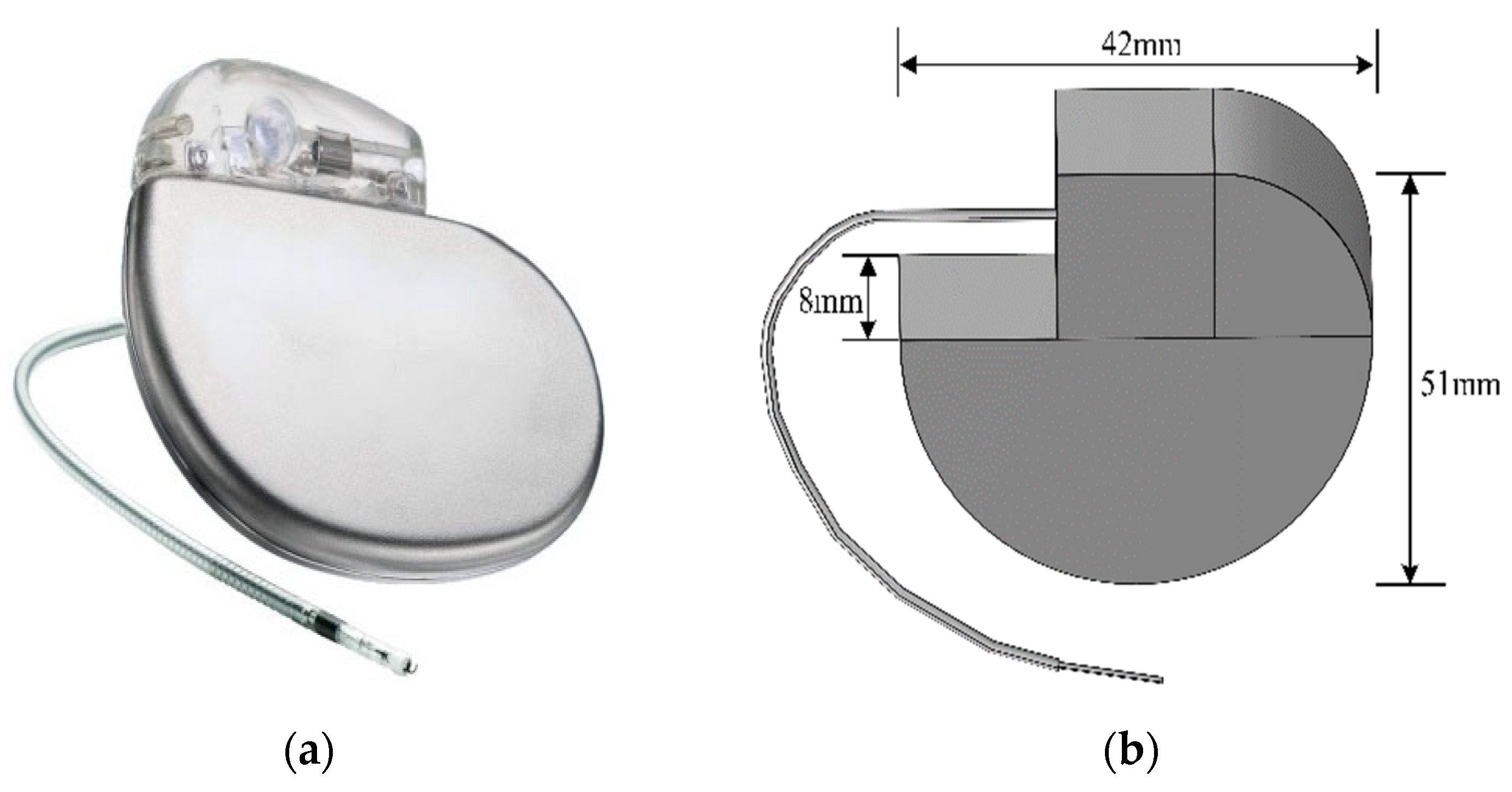 Sensors 24 04395 g002