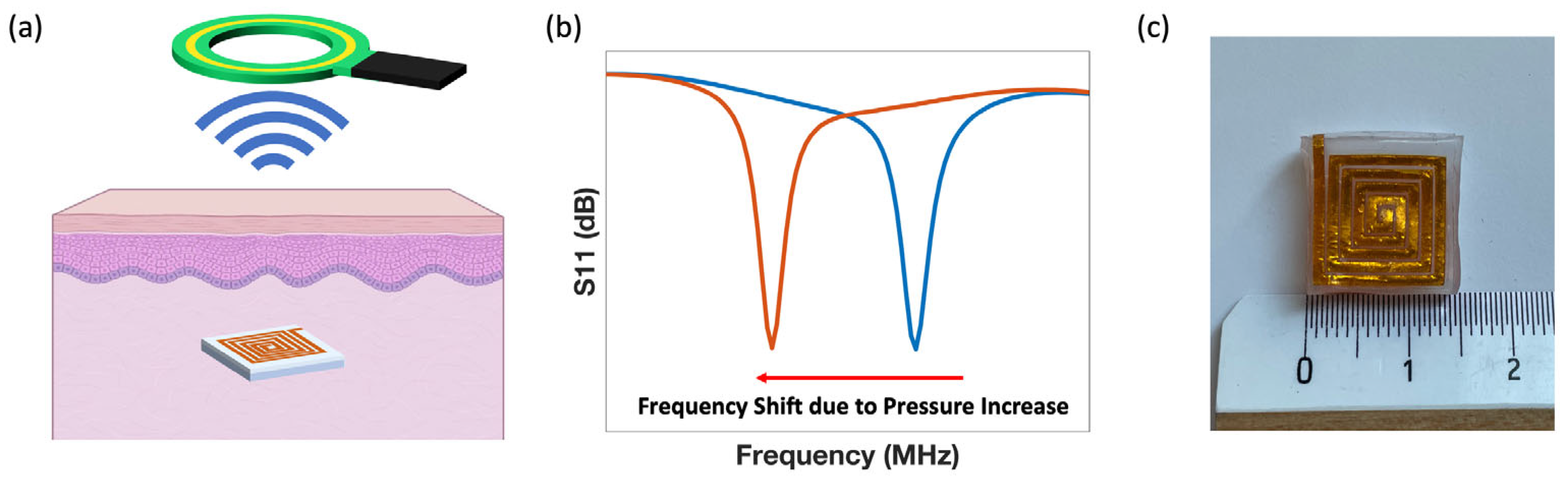 Sensors 24 04429 g001