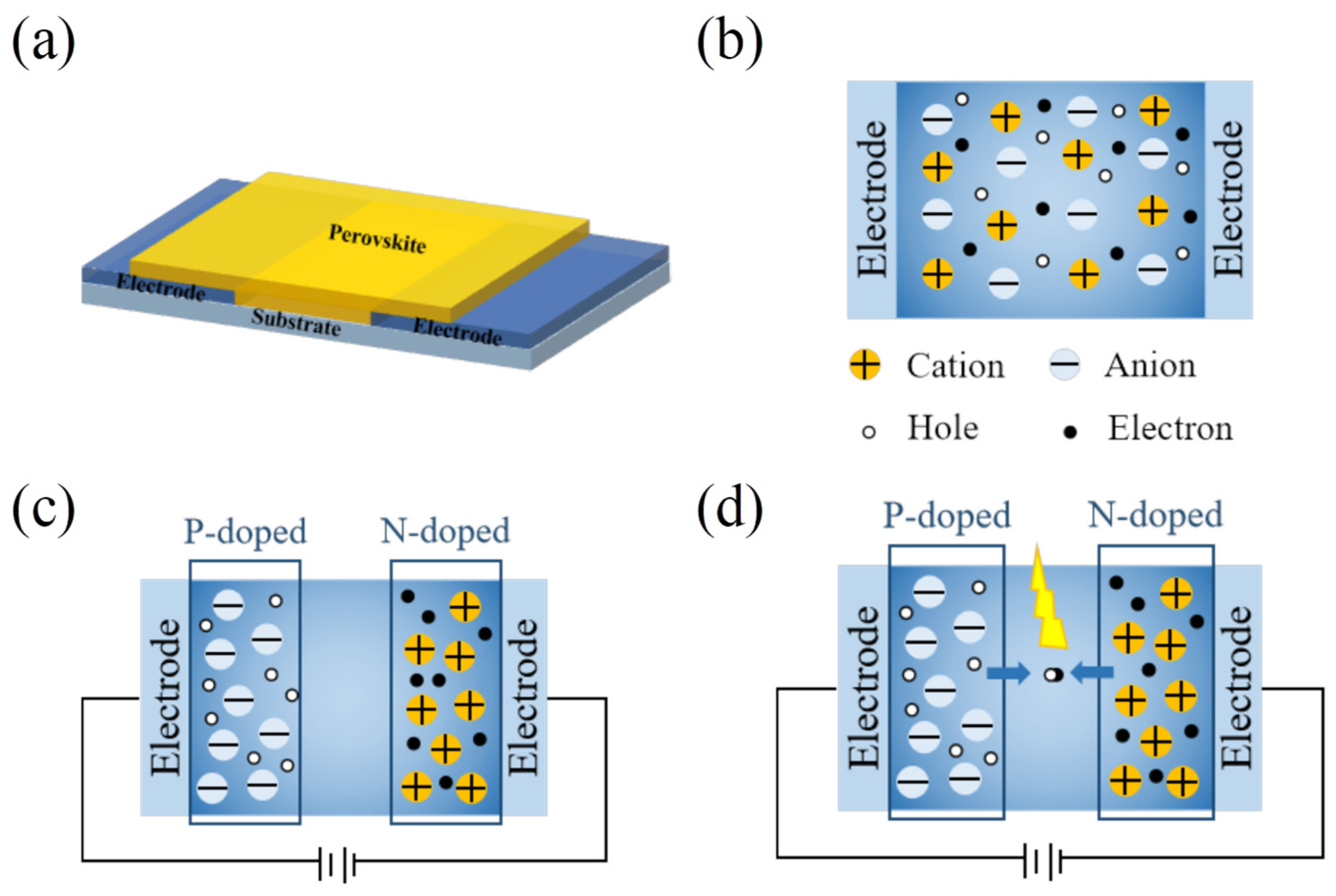 Sensors 24 04454 g001
