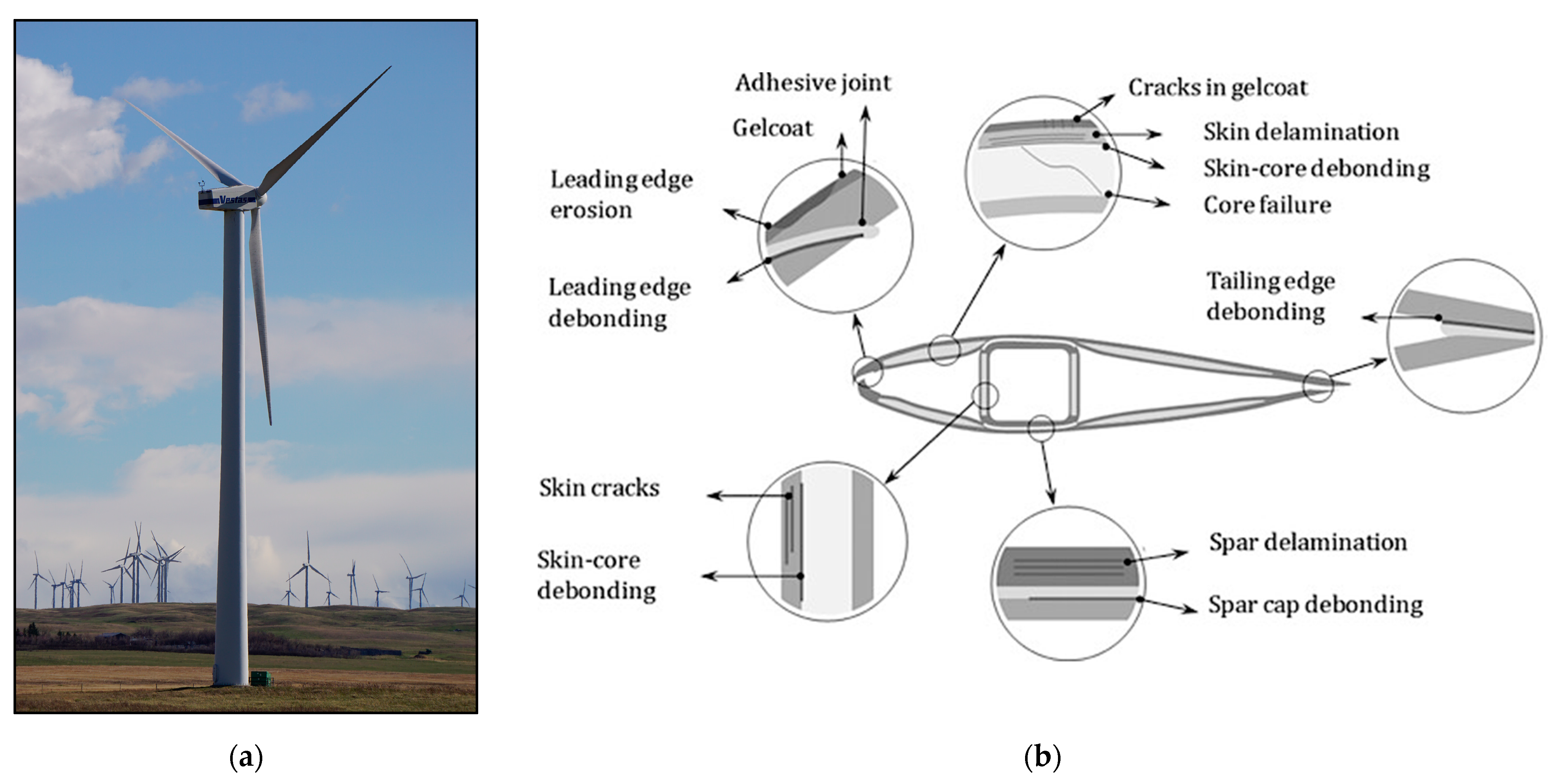 Sensors 24 04456 g001