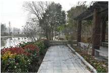 Sensors 24 04459 i012