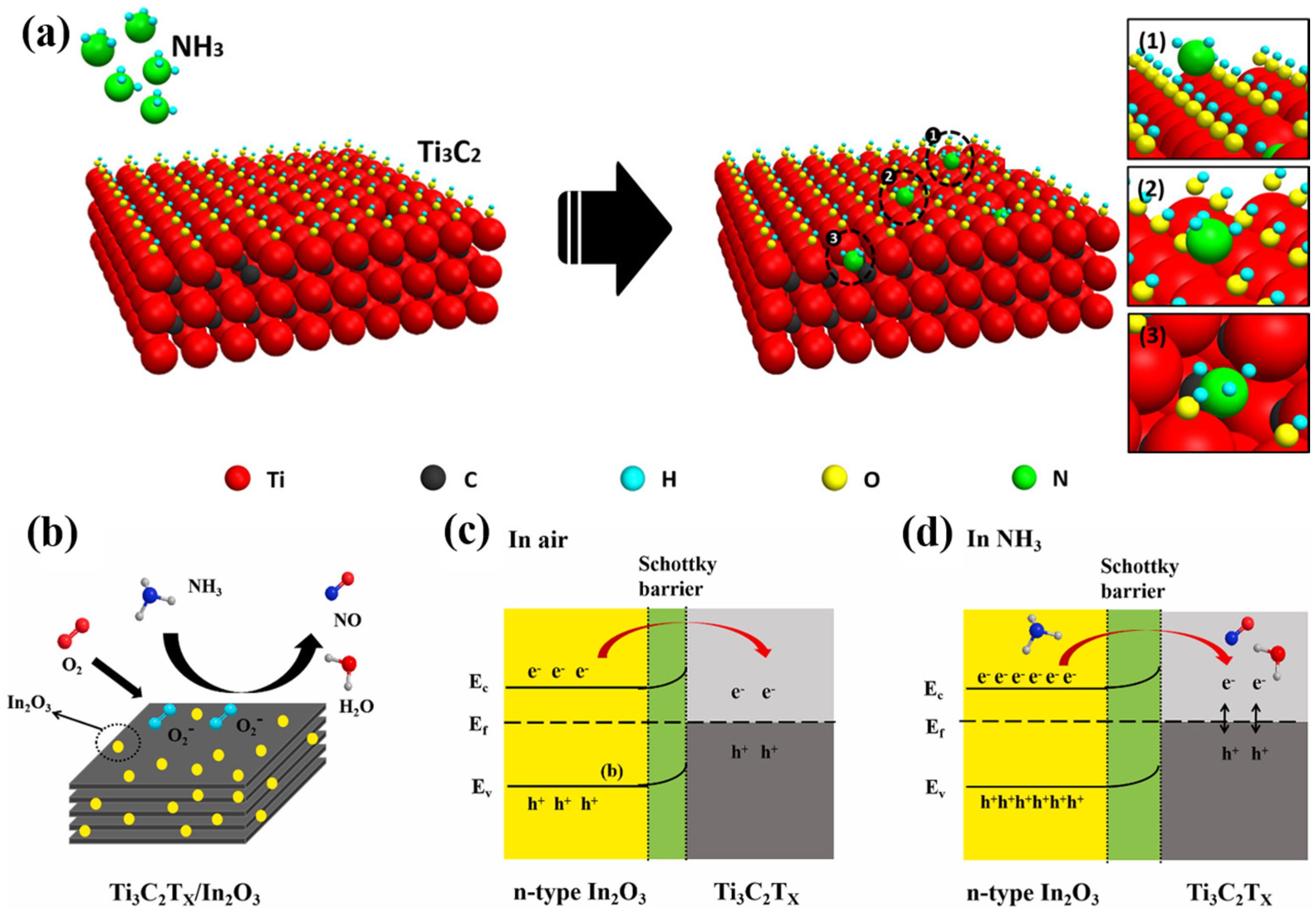 Sensors 24 04465 g008