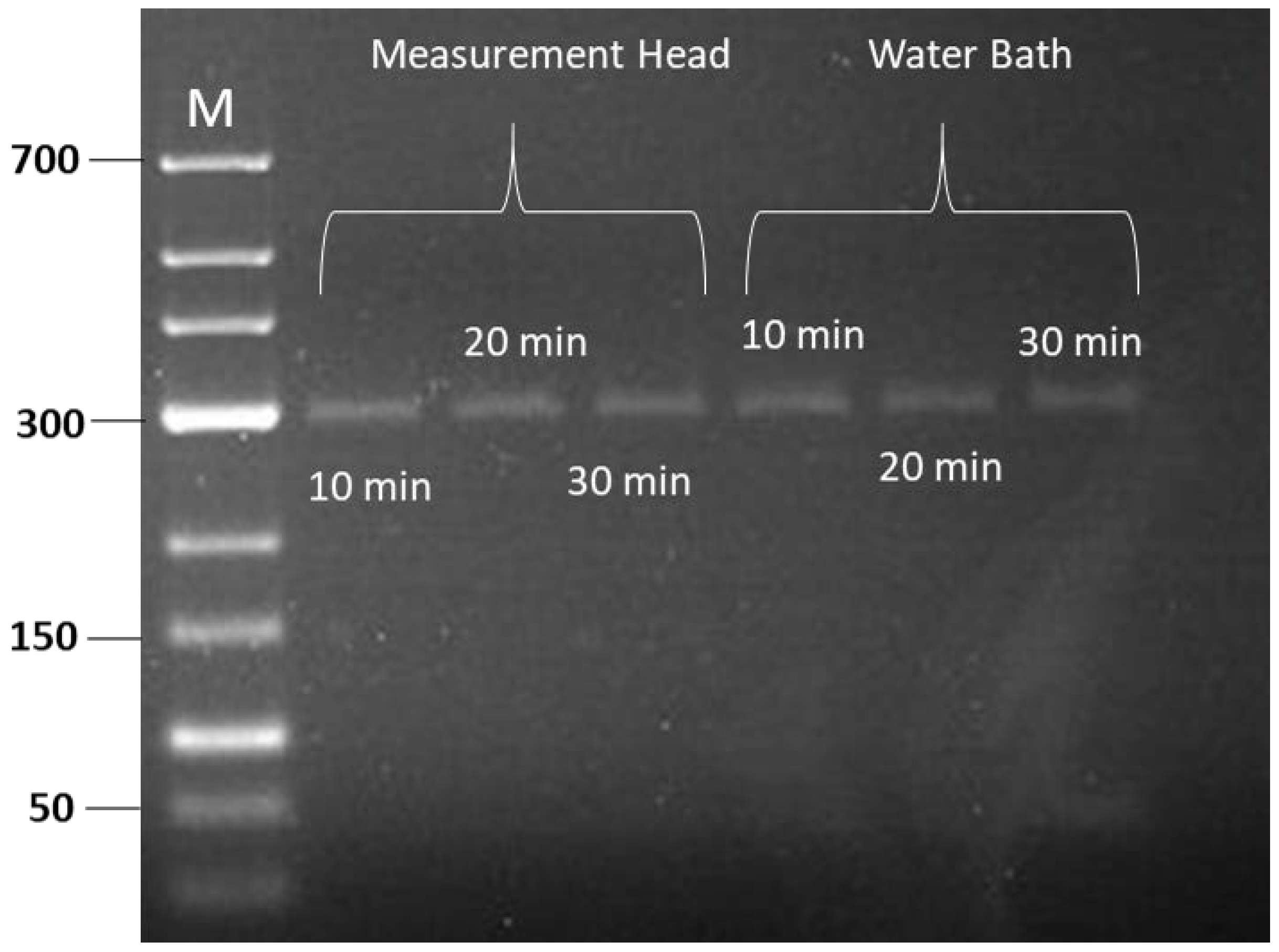 Sensors 24 04478 g006
