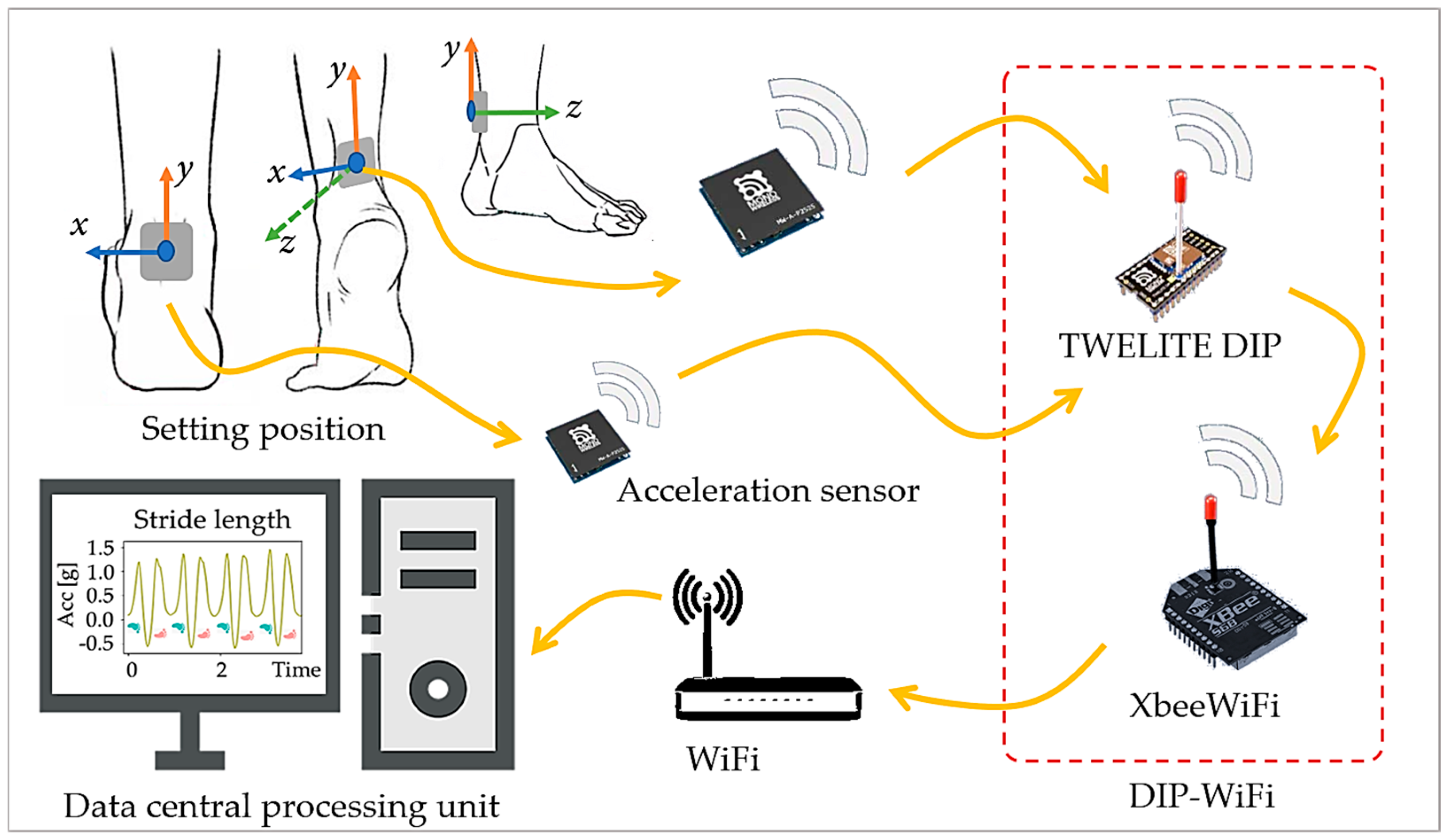 Sensors 24 04489 g001