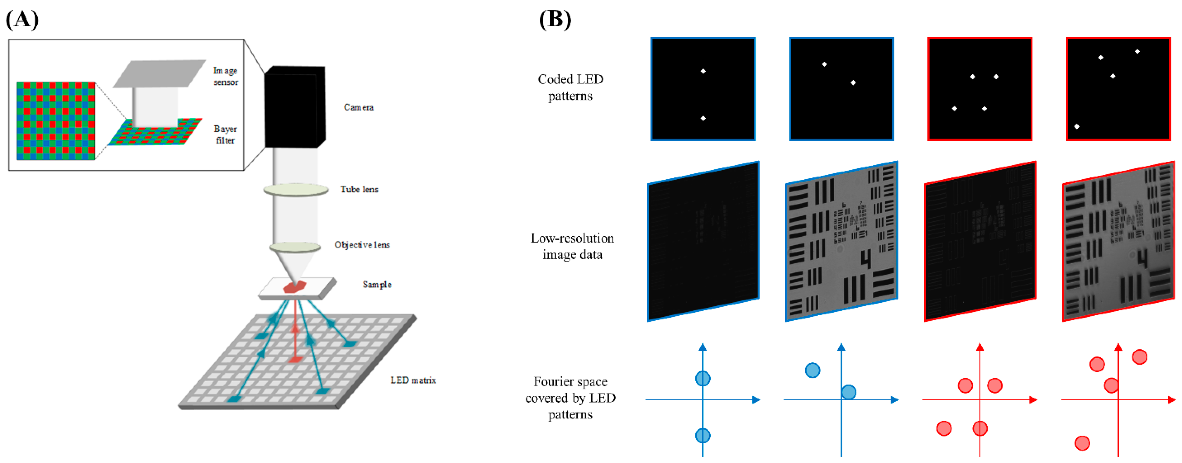 Sensors 24 04505 g001