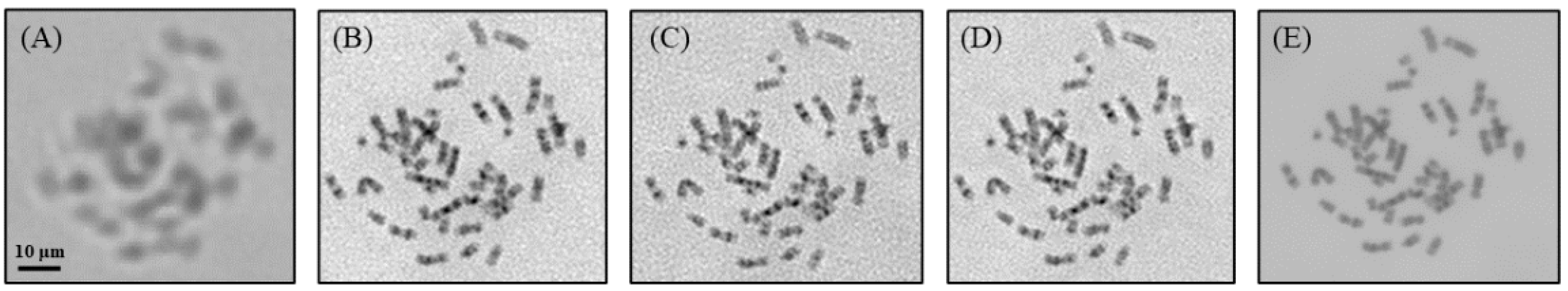 Sensors 24 04505 g005