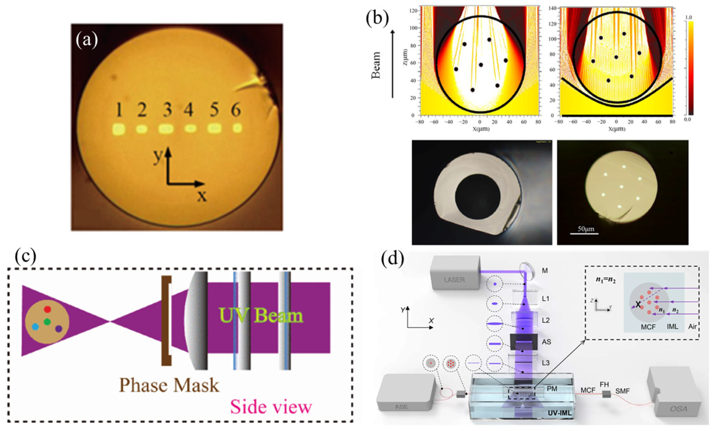 Sensors 24 04532 g001