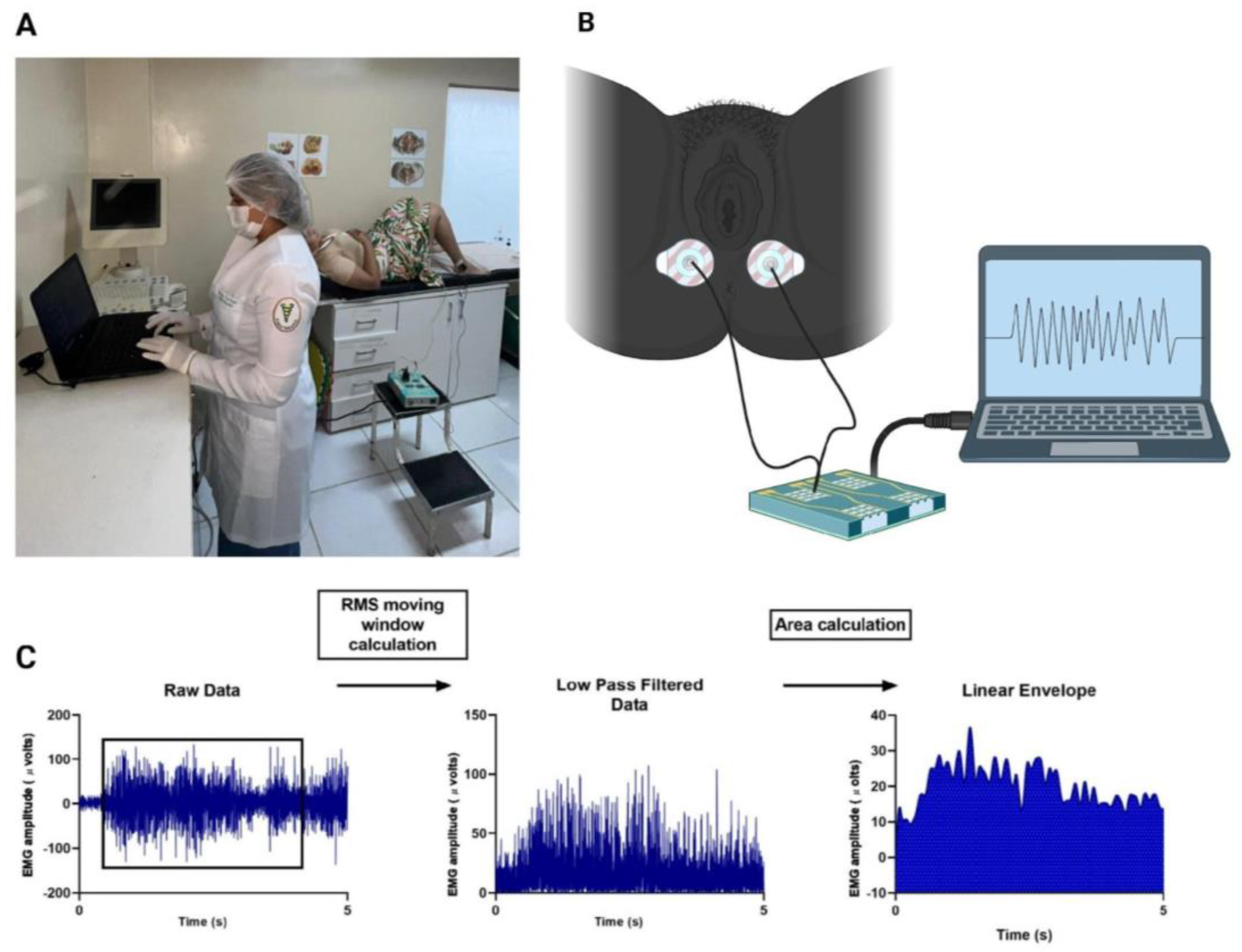 Sensors 24 04615 g002